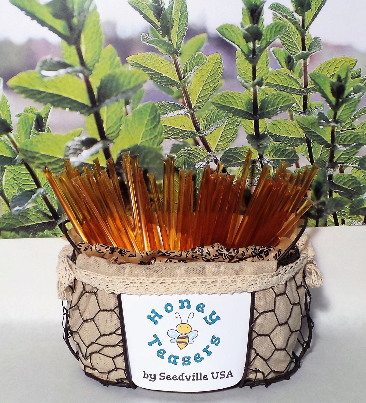 5 Pack MINT HONEY TEASERS Natural Honey Snack Sticks Honeystix Straws