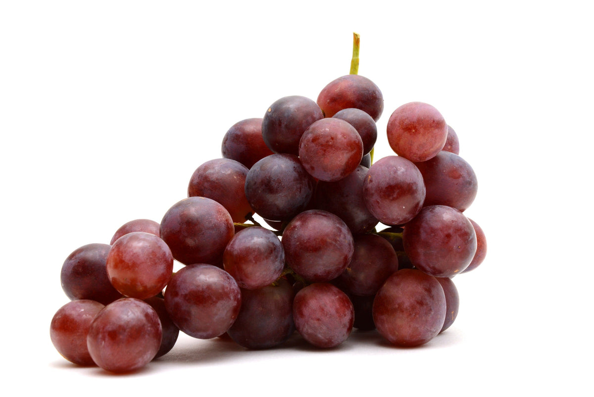 10 Giant RED GLOBE GRAPE Vitis Vinifera Fruit Vine Seeds
