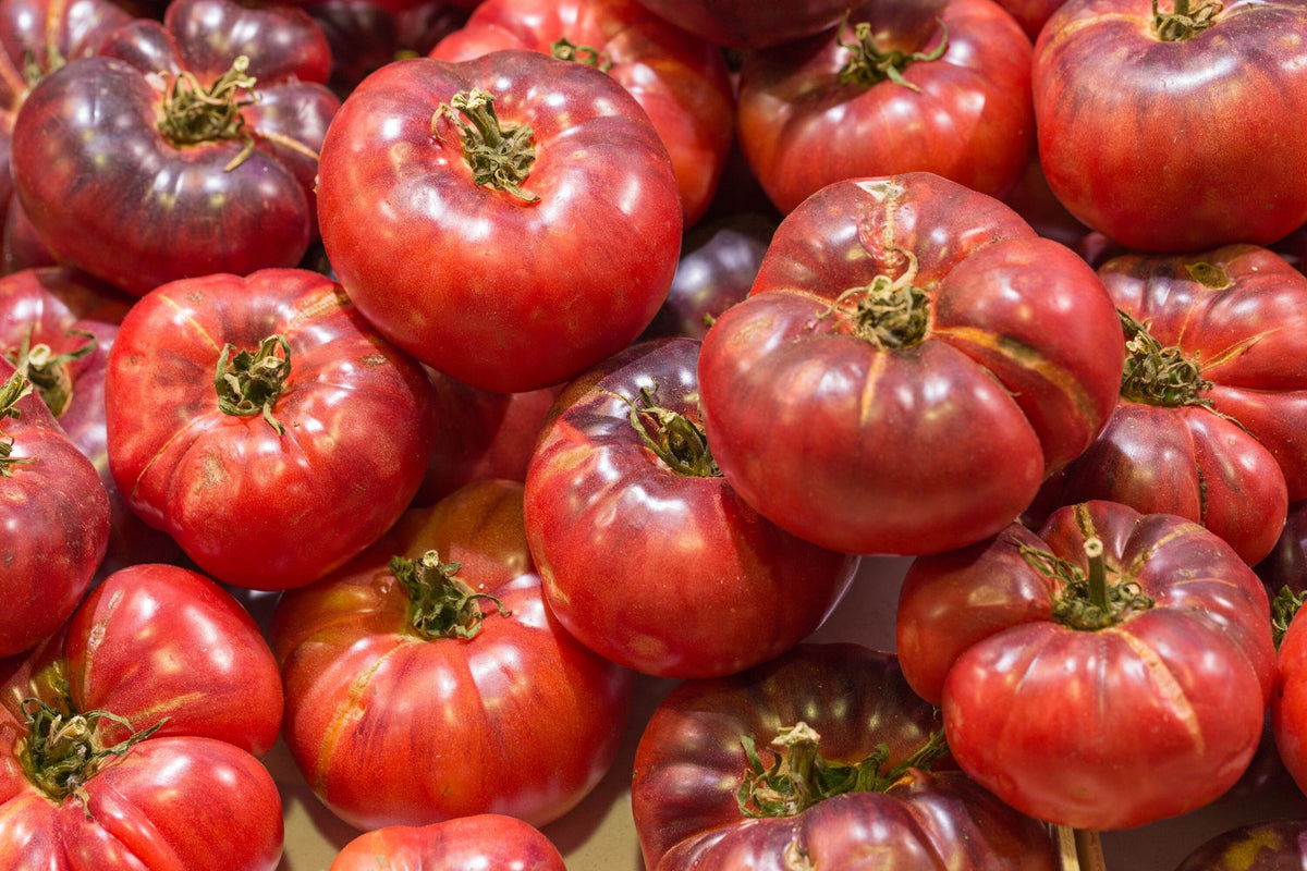 80 BLACK KRIM TOMATO Solanum Lycopersicum Indeterminate Heirloom Beefsteak Fruit Vegetable Seeds