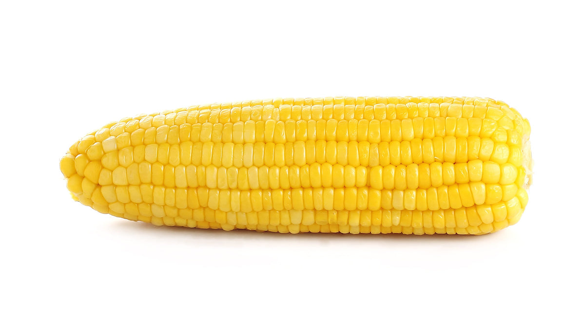 50 KANDY KORN CORN Sweet Yellow Corn Red Husk H.S.E. Zea Mays Vegetable Seeds