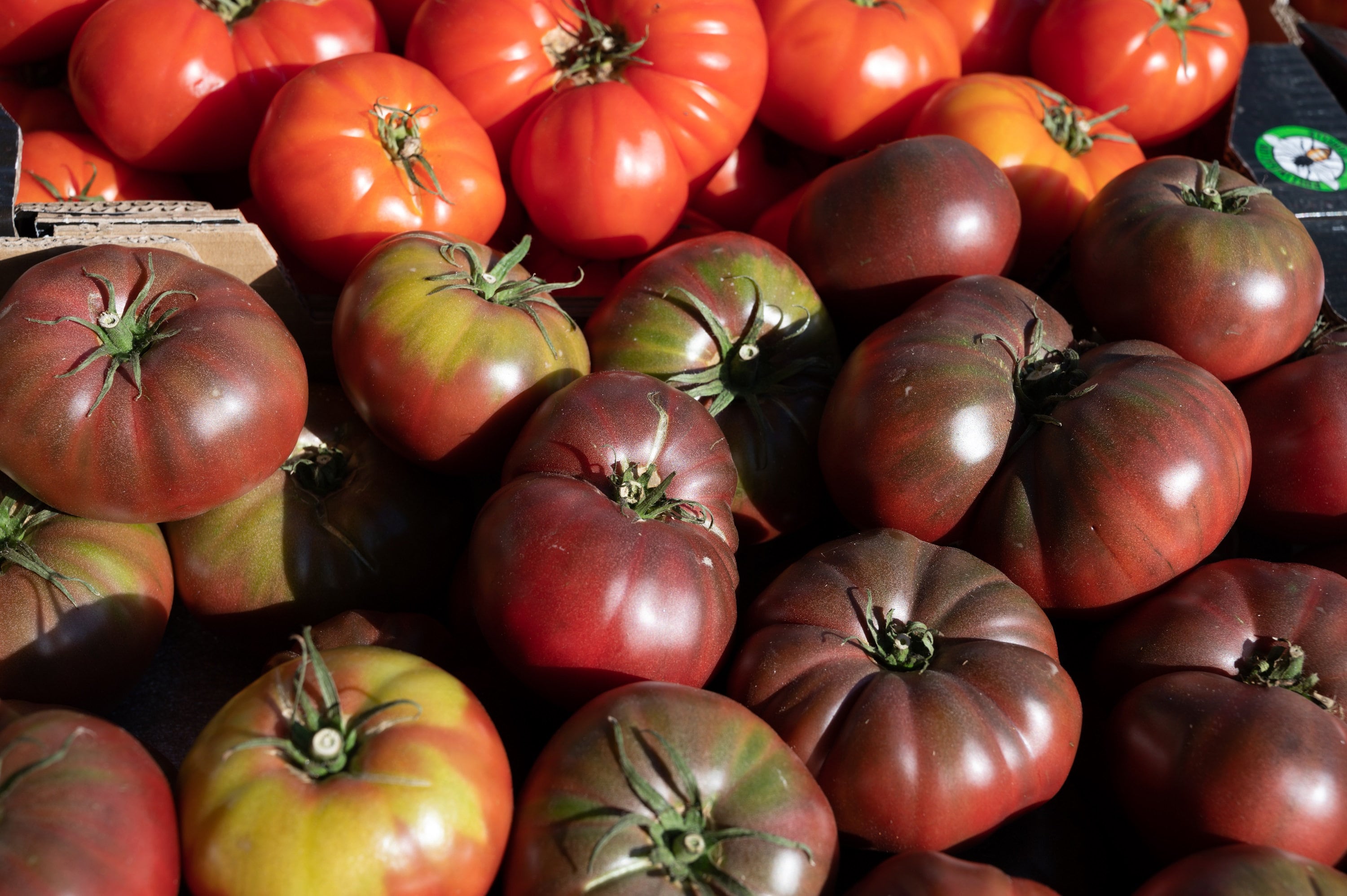 80 BLACK KRIM TOMATO Solanum Lycopersicum Indeterminate Heirloom Beefsteak Fruit Vegetable Seeds