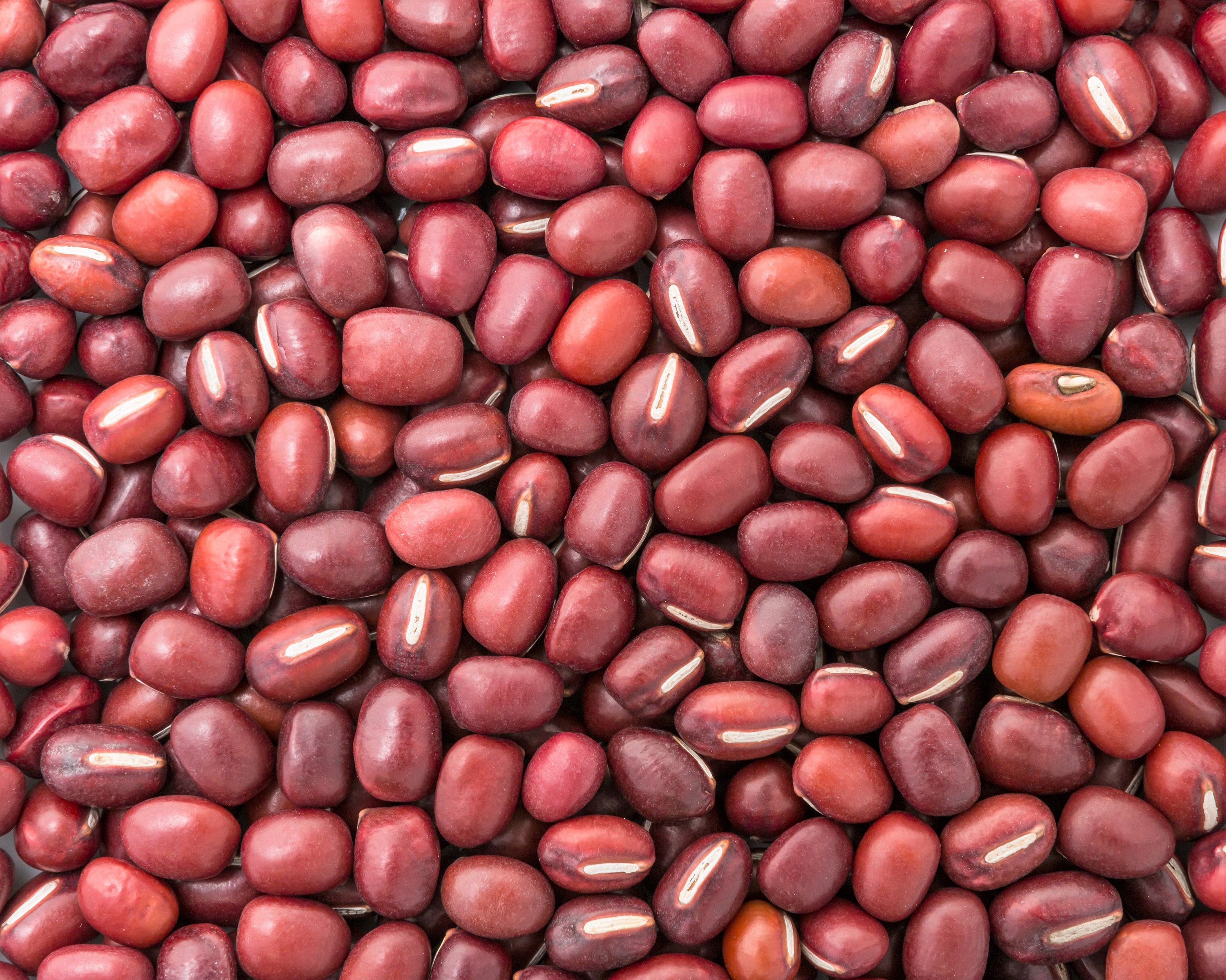 100 RED RIPPER COWPEA Cow Pea Southern Pea Vigna Unguiculata Legume Bean Vegetable Seeds