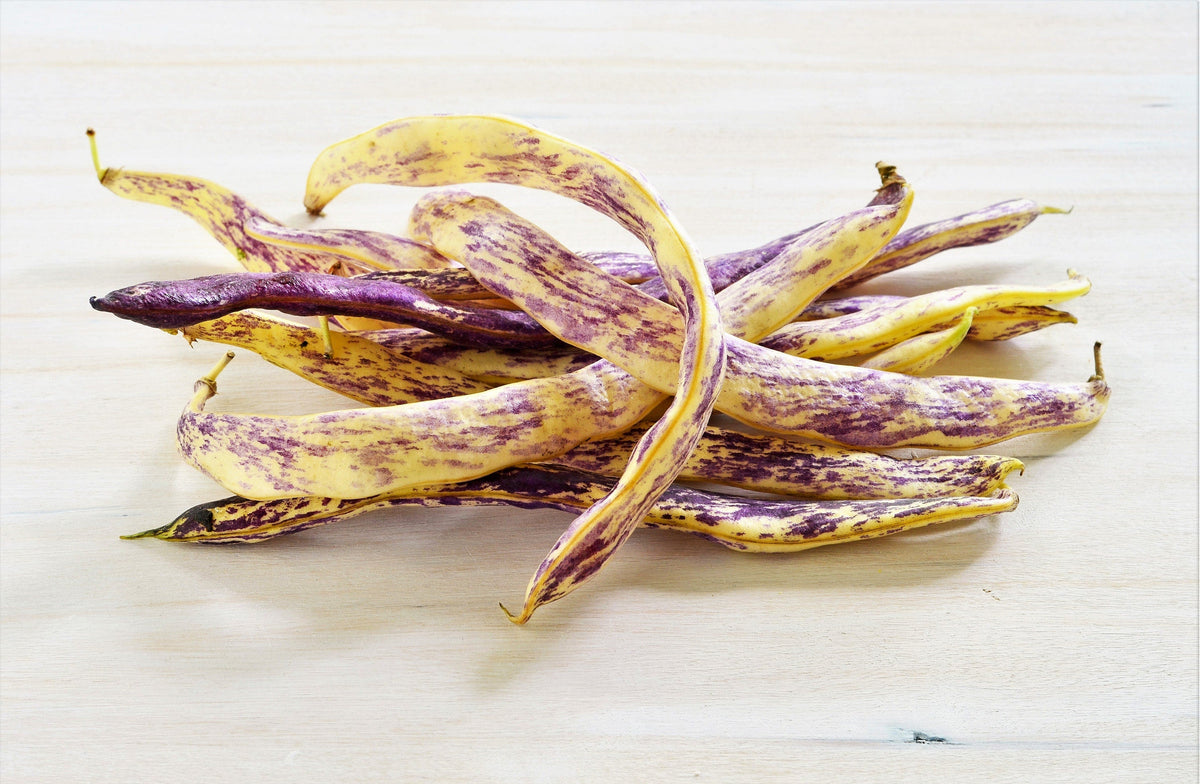 50 DRAGON TONGUE Wax BEAN Yellow & Purple Dragon's Tongue Phaseolus Vulgaris Legume Vegetable Seeds