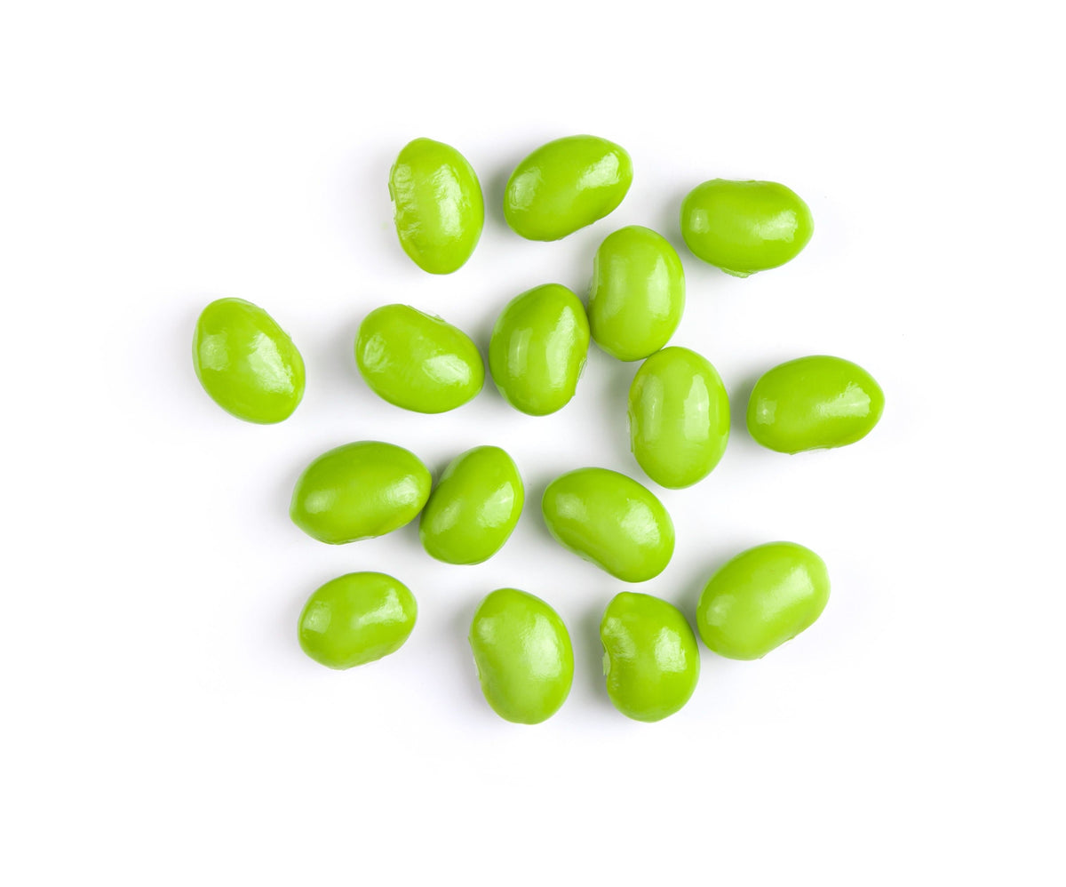 20 Organic MIDORI GIANT SOYBEAN Edamame Glycine Max Green Bean Legume Vegetable Seeds