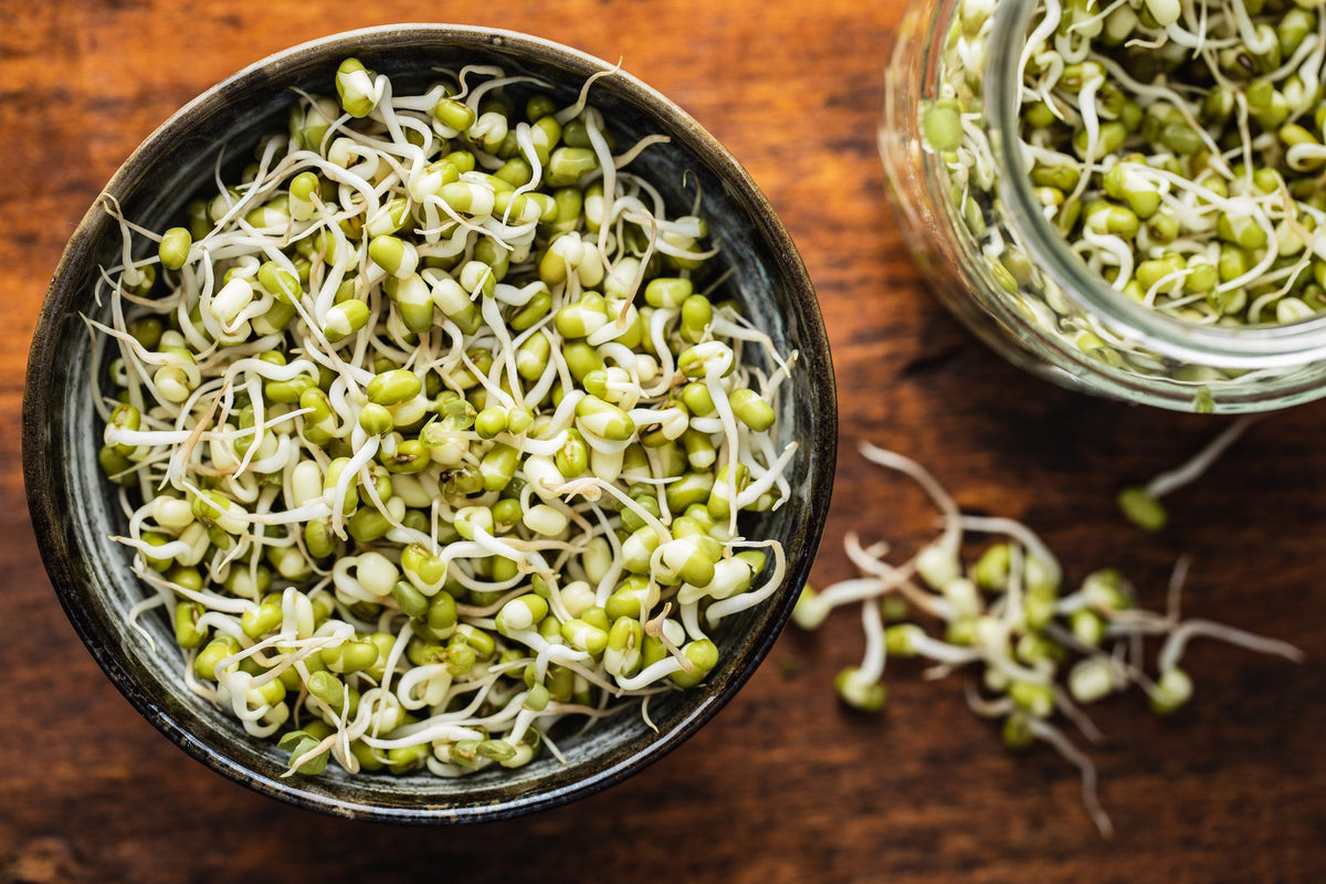ORGANIC SPROUTING MIX - Peas, Mung & Adzuki Beans, Green, French, & Red Lentil Vegetable Sprout Seeds