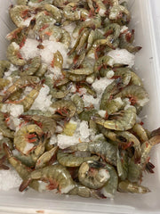 Colossal E-Z Peel White Shrimp 16/20 — 2 lb Bags