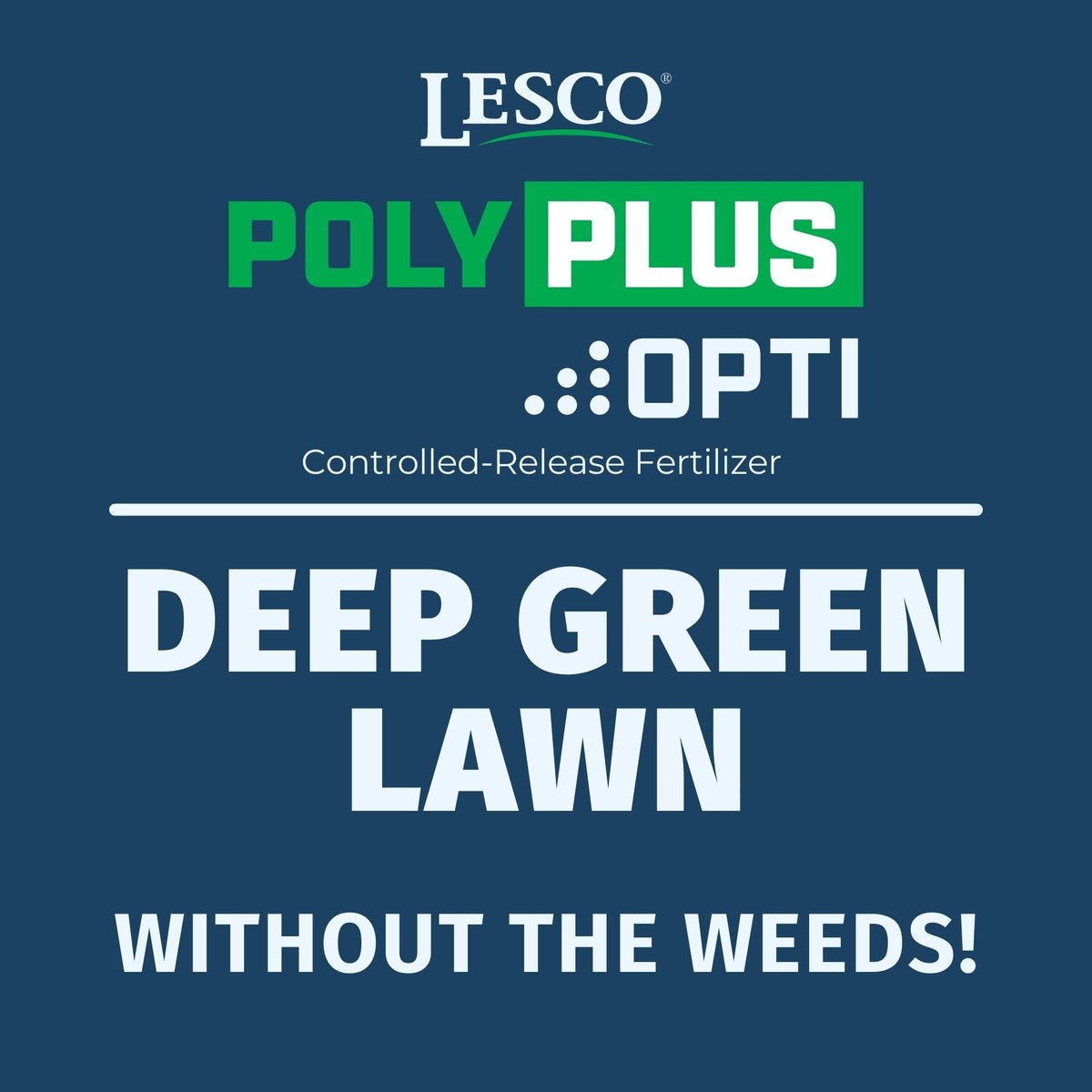 LESCO Weed & Feed 18-2-3 Broadleaf Control