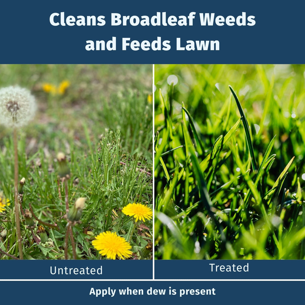LESCO Weed & Feed 18-2-3 Broadleaf Control