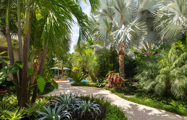 Palm Tree Fertilizer & Tropicals Mix: 8-10-10 25% Slow Plus Micros