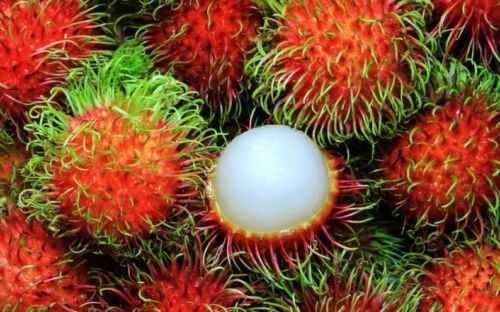 Fresh Rambutans - 1 Bag ( From 3 to 4 Lbs )
