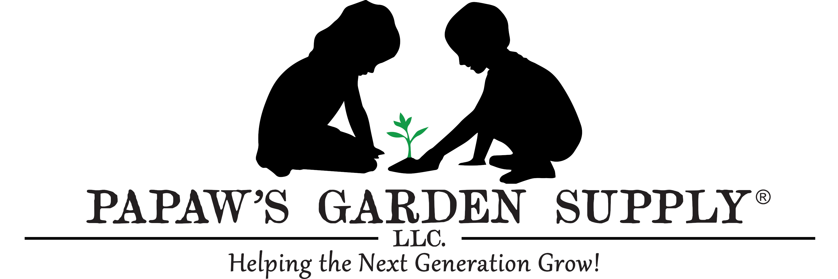 Strike Bush Green Bean Untreated and Treated Seeds