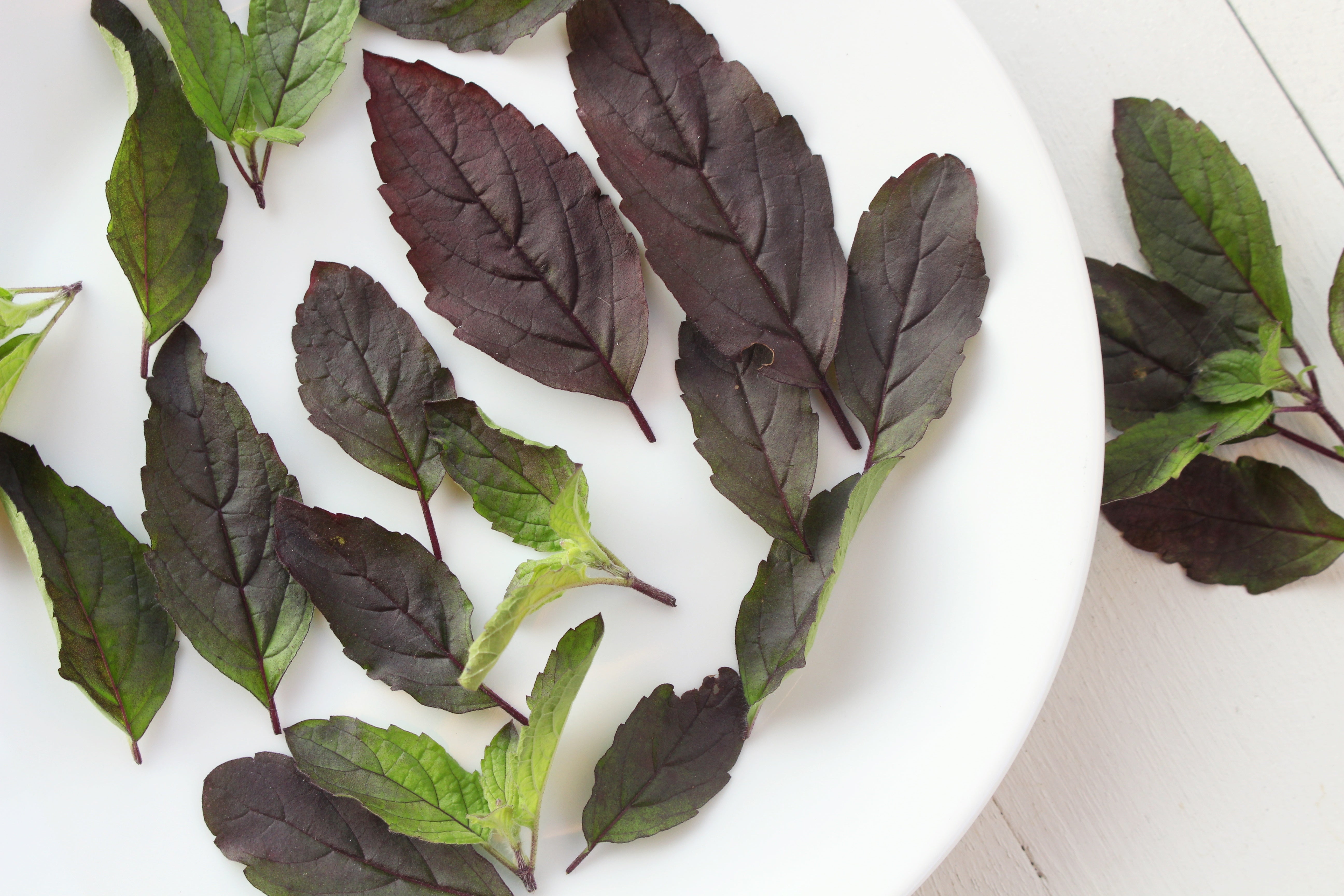Purple Krishna Tulsi Holy Basil Seeds