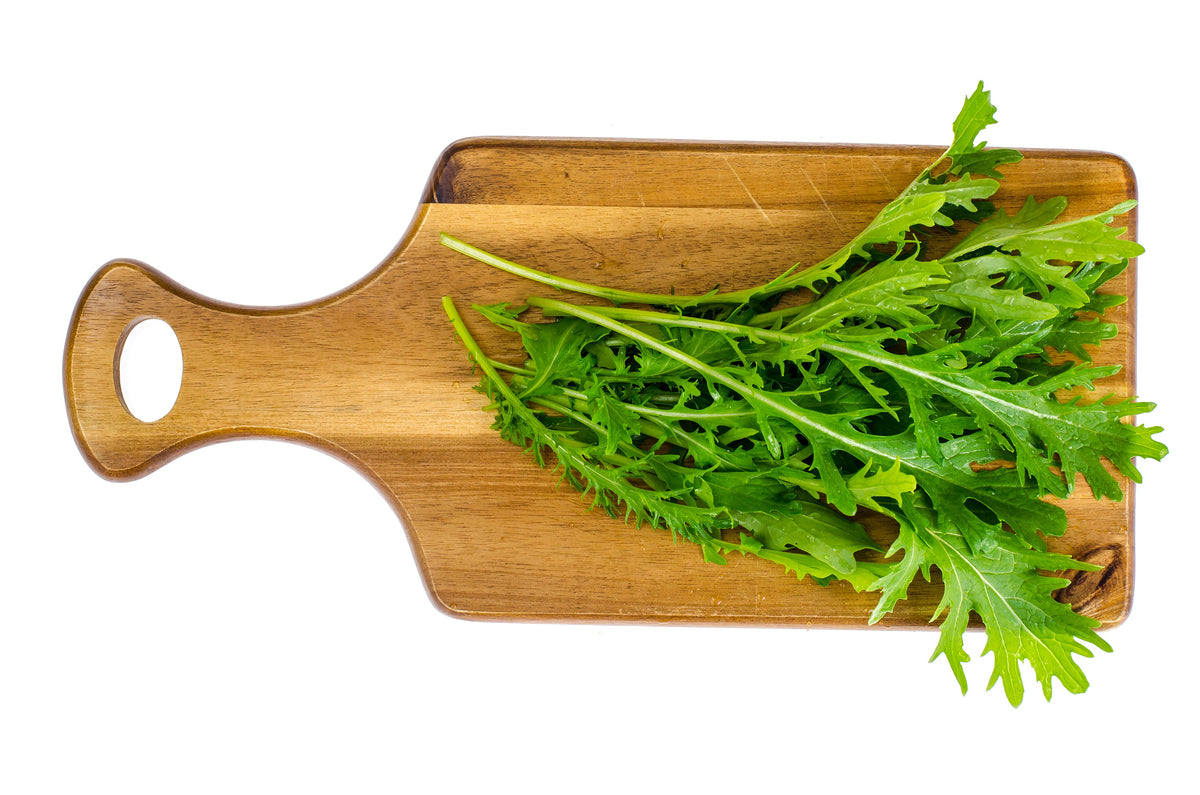 1000 GREEN MIZUNA MUSTARD Japanese Greens Brassica Juncea Herb Vegetable Seeds