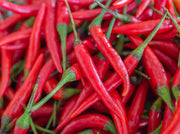 300 LONG Red CAYENNE PEPPER Hot Capsicum Annuum Vegetable Seeds