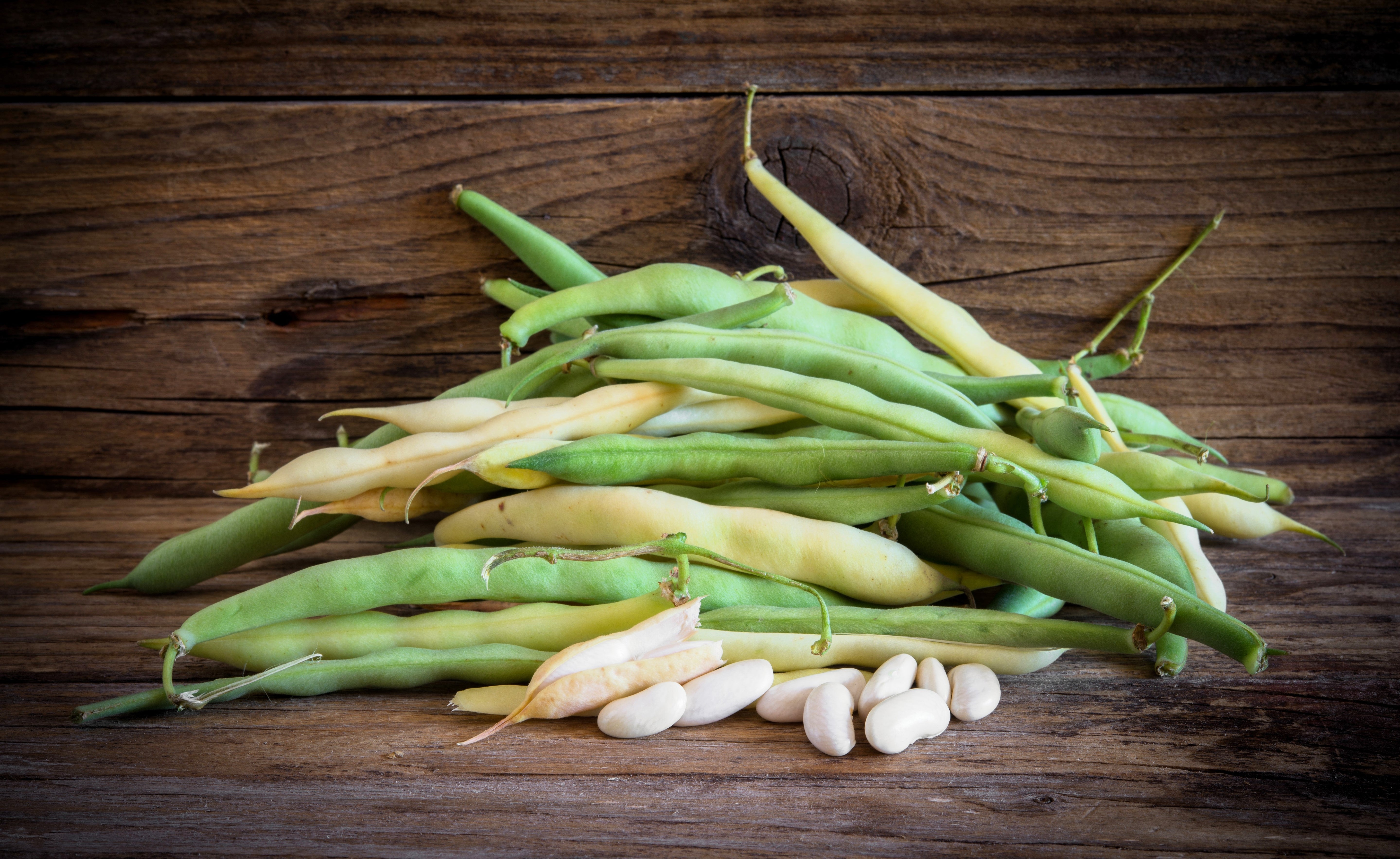 30 CANNELLINI BEAN Seeds White Italian Kidney Phaseolus Vulgaris Vegetable Seeds
