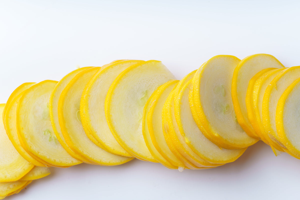 50 Early PROLIFIC STRAIGHTNECK SQUASH Yellow Summer Bush Heirloom Seeds