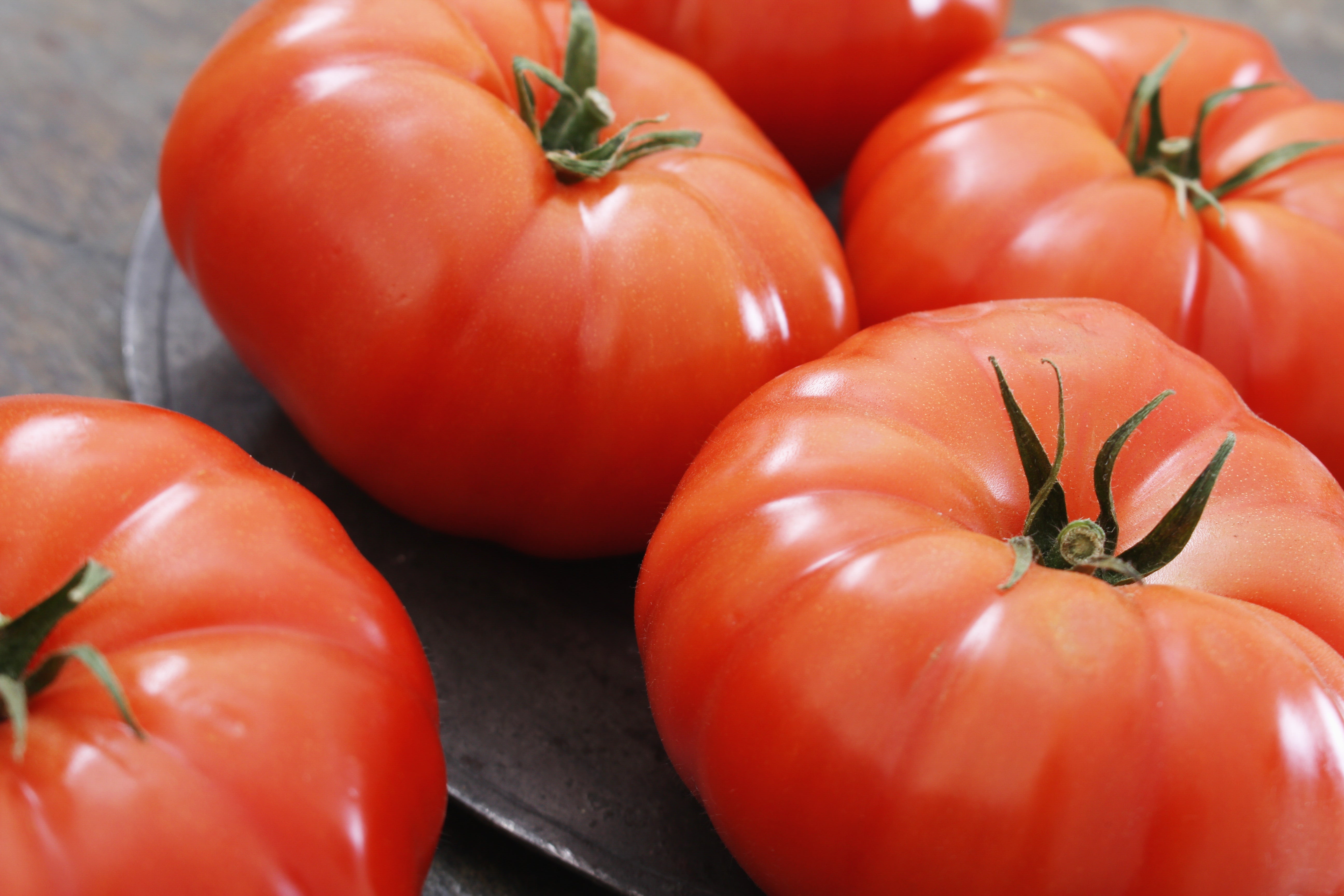 500 BEEFSTEAK TOMATO Lycopersicon Lycopersicum Fruit Vegetable Seeds