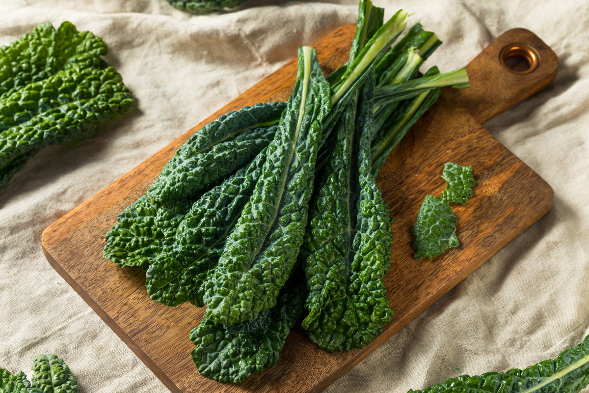1500 LACINATO KALE Dinosaur Tuscan Black Brassica Oleracea Vegetable Seeds