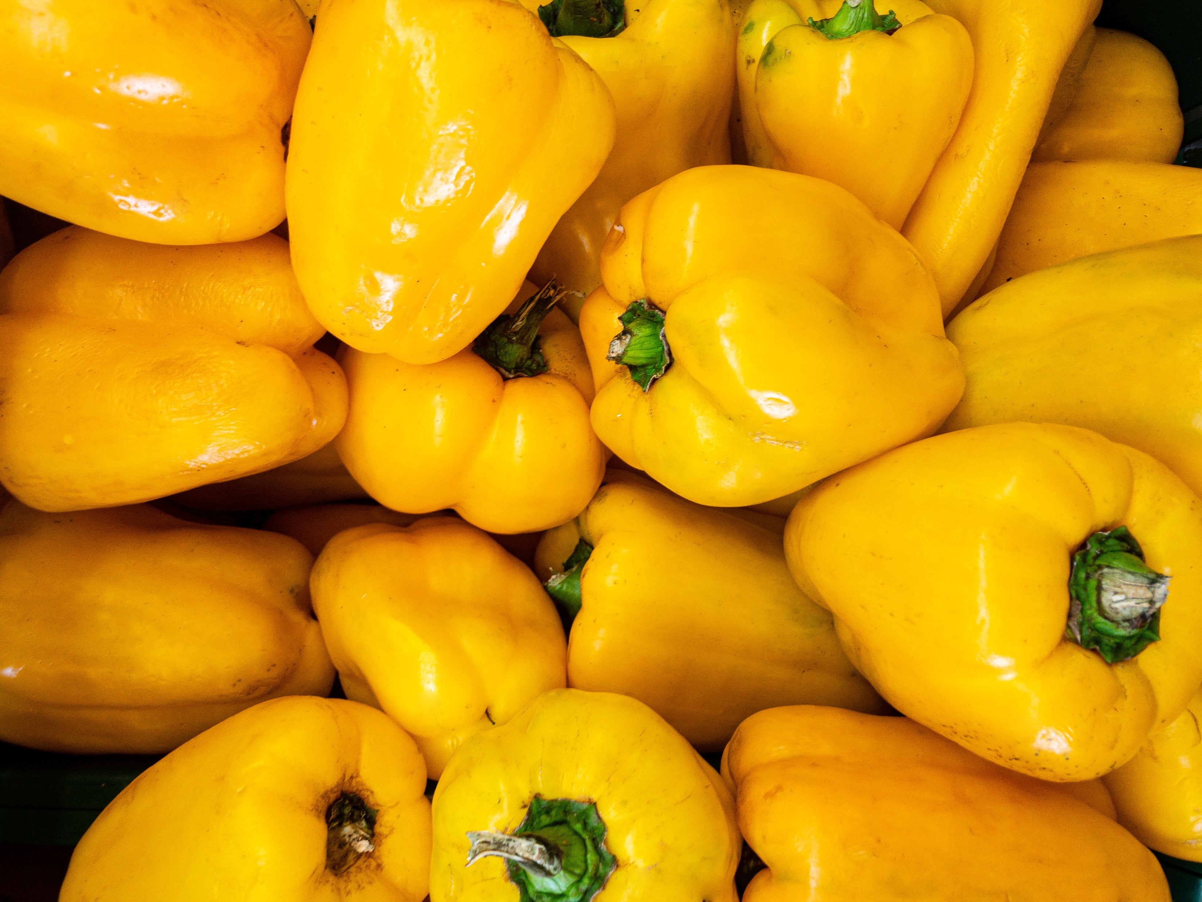 50 YELLOW Cheese PIMENTO PEPPER Capsicum Annuum Vegetable Seeds