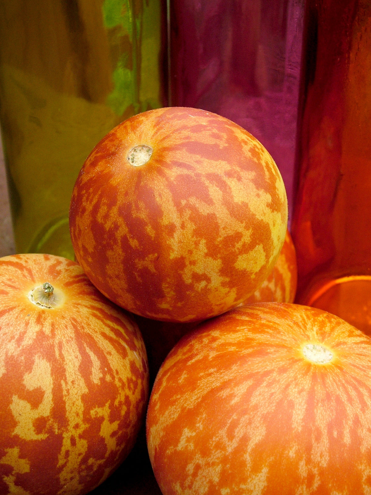 15 TIGGER / TIGER MELON Edible Muskmelon & Ornamental Vine Cucumis Melo Seeds