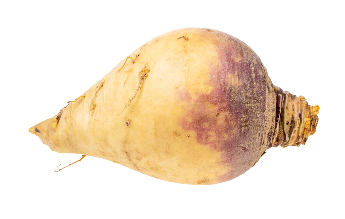 3000 LAURENTIAN RUTABAGA Brassica Napus Vegetable Seeds