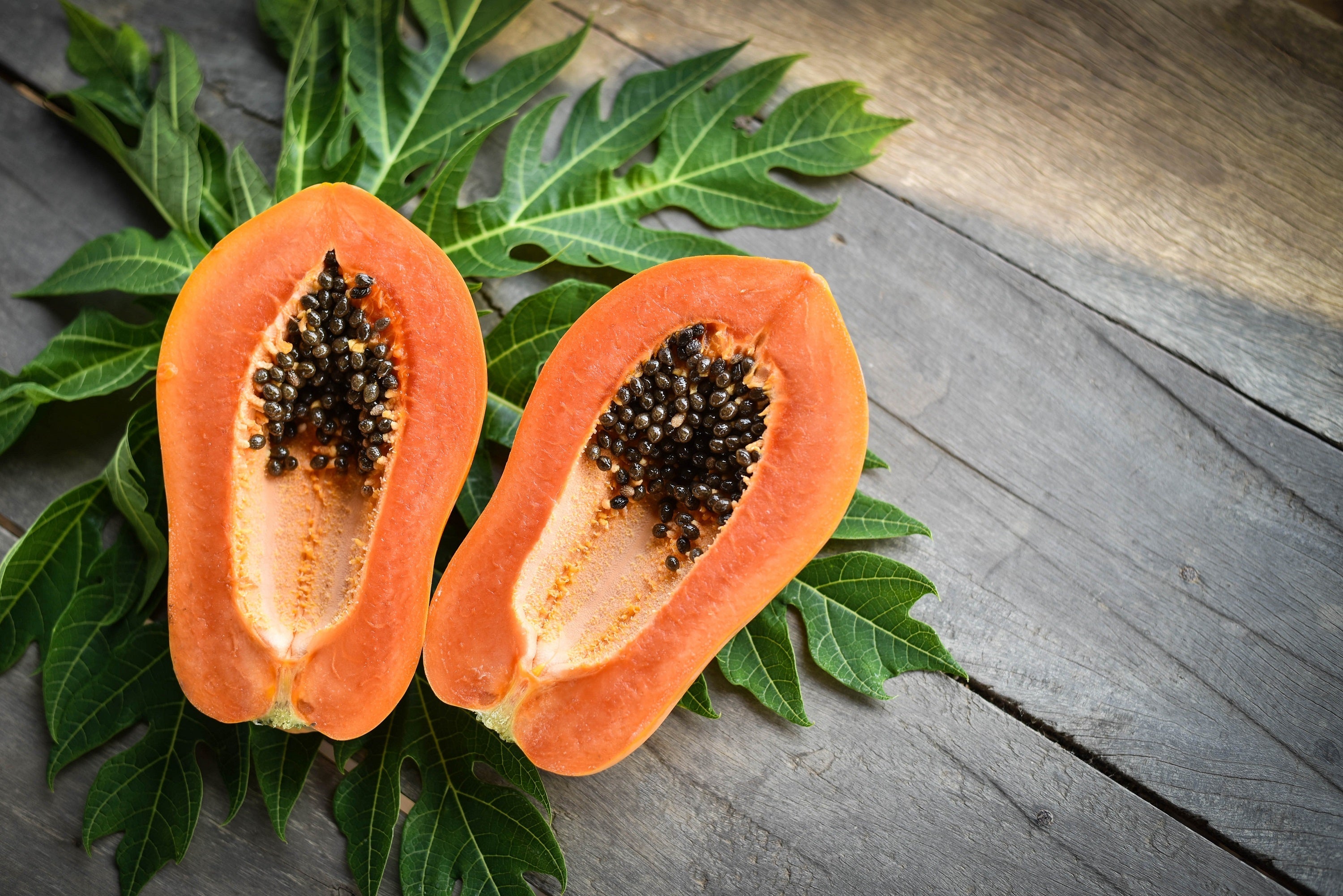 30 PAPAYA MELON Fruit TREE Carica Papaya Seeds