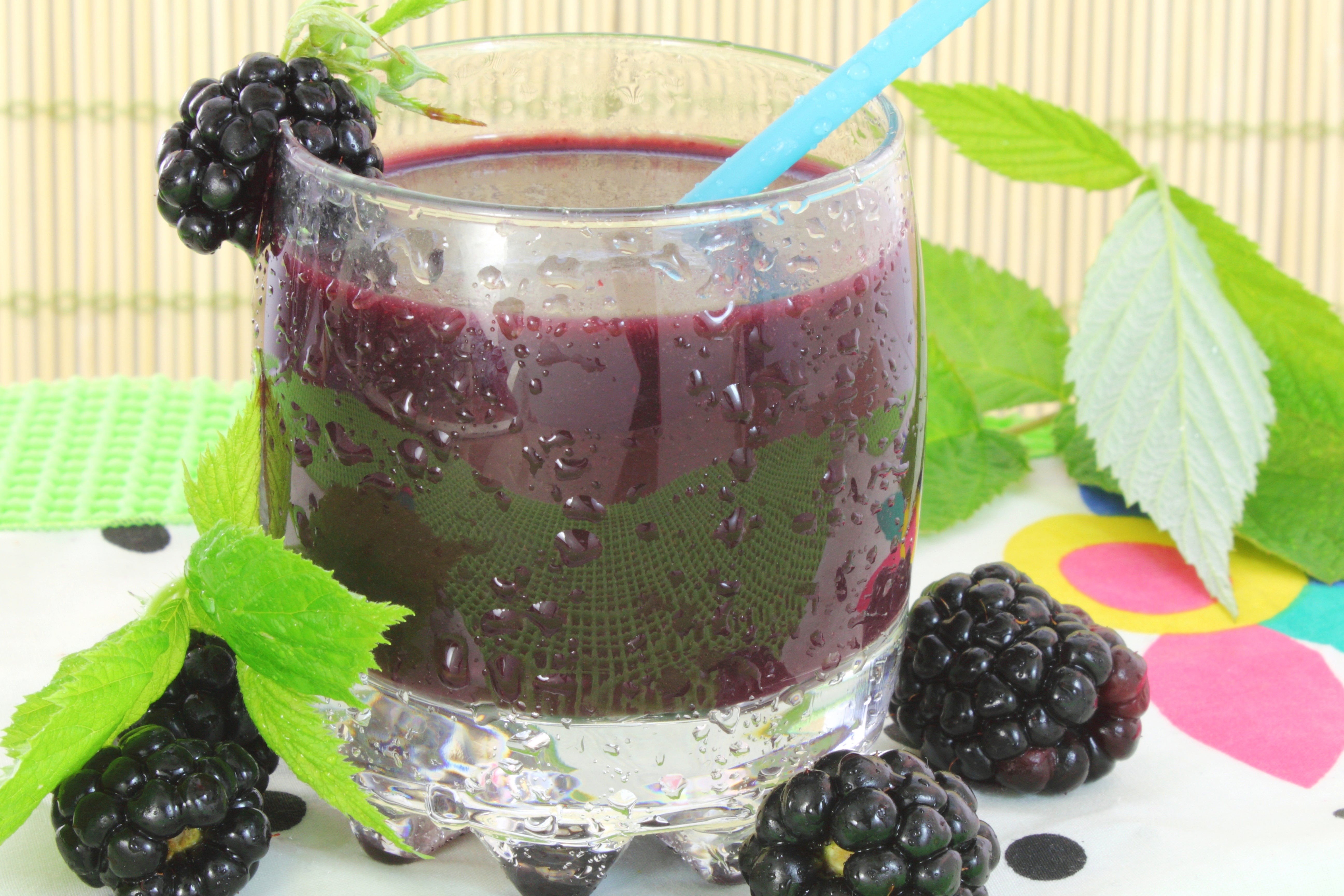 25 TRAILING BLACKBERRY Pacific Rubus Ursinus Vining Shrub Fruit Berry Seeds