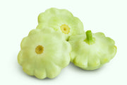 20 Green Tint BUSH SCALLOP SQUASH (Patty Pan / Paty Pan / Squanter Squash) Summer Cucurbita Pepo Vegetable Seeds