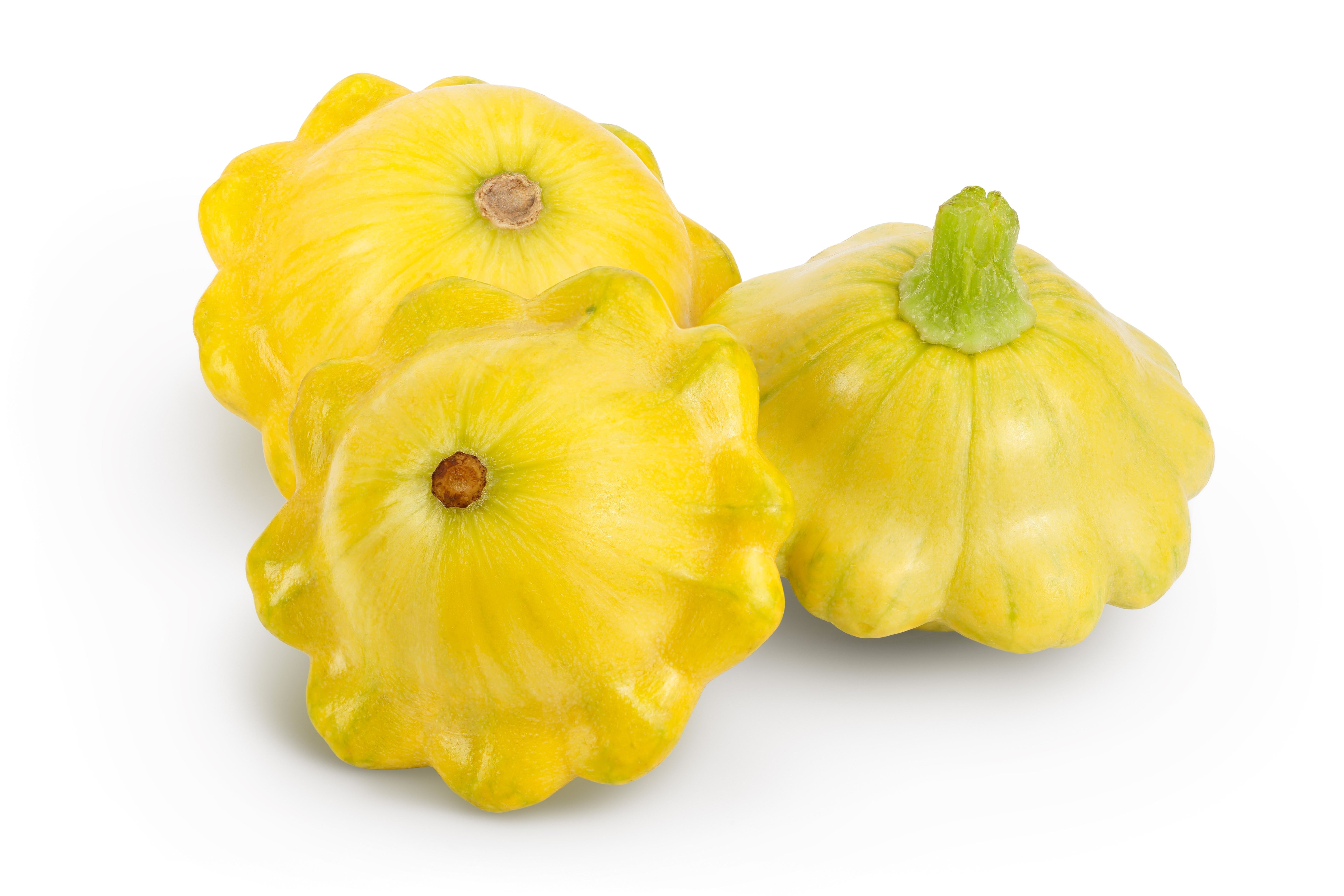 10 Golden YELLOW Bush SCALLOP SQUASH (Patty Pan / Paty Pan / Squanter Squash) Summer Cucurbita Pepo Vegetable Seeds