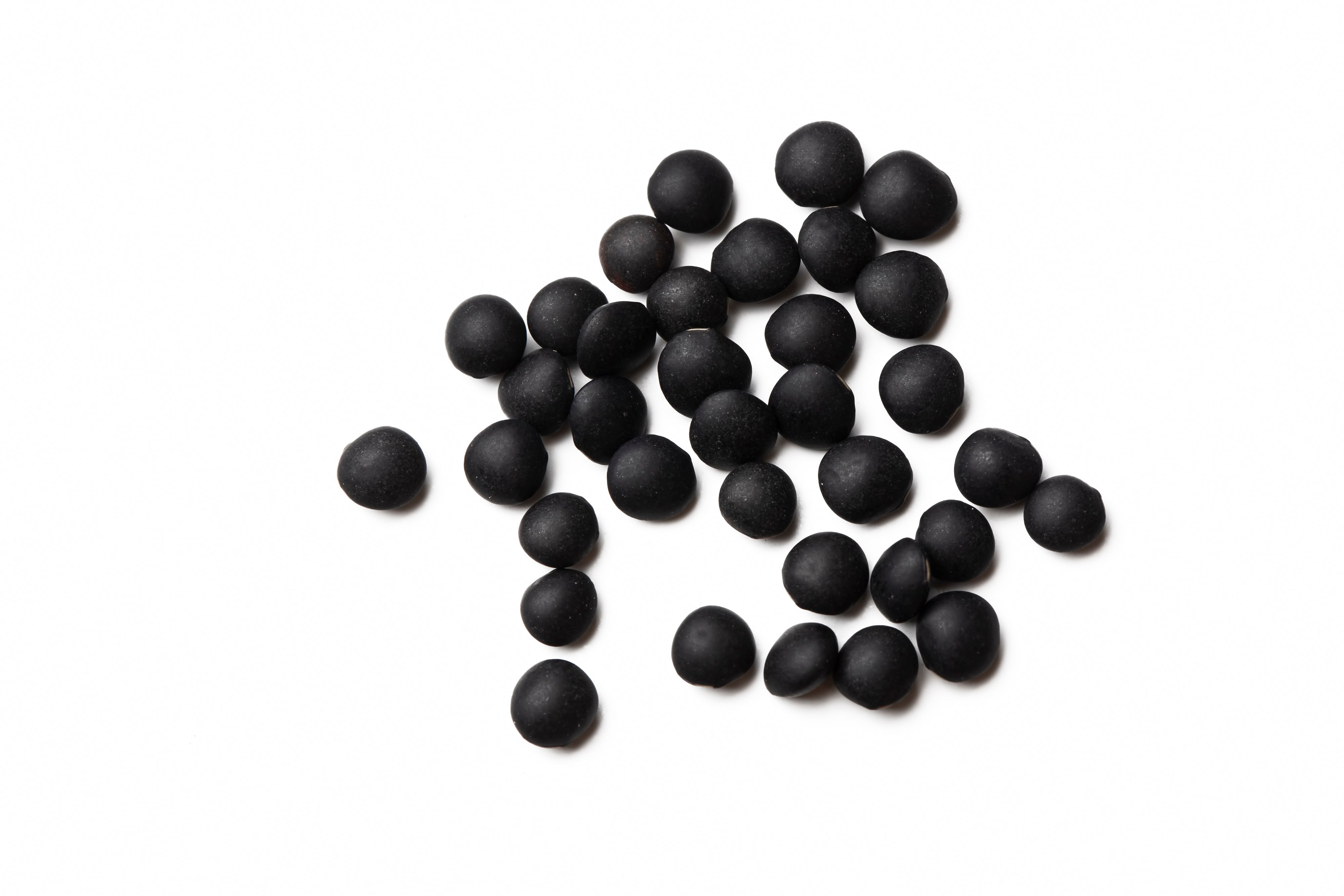 100 BLACK LENTIL Bush Lens Culinaris Vegetable Legume Sprouts Seeds