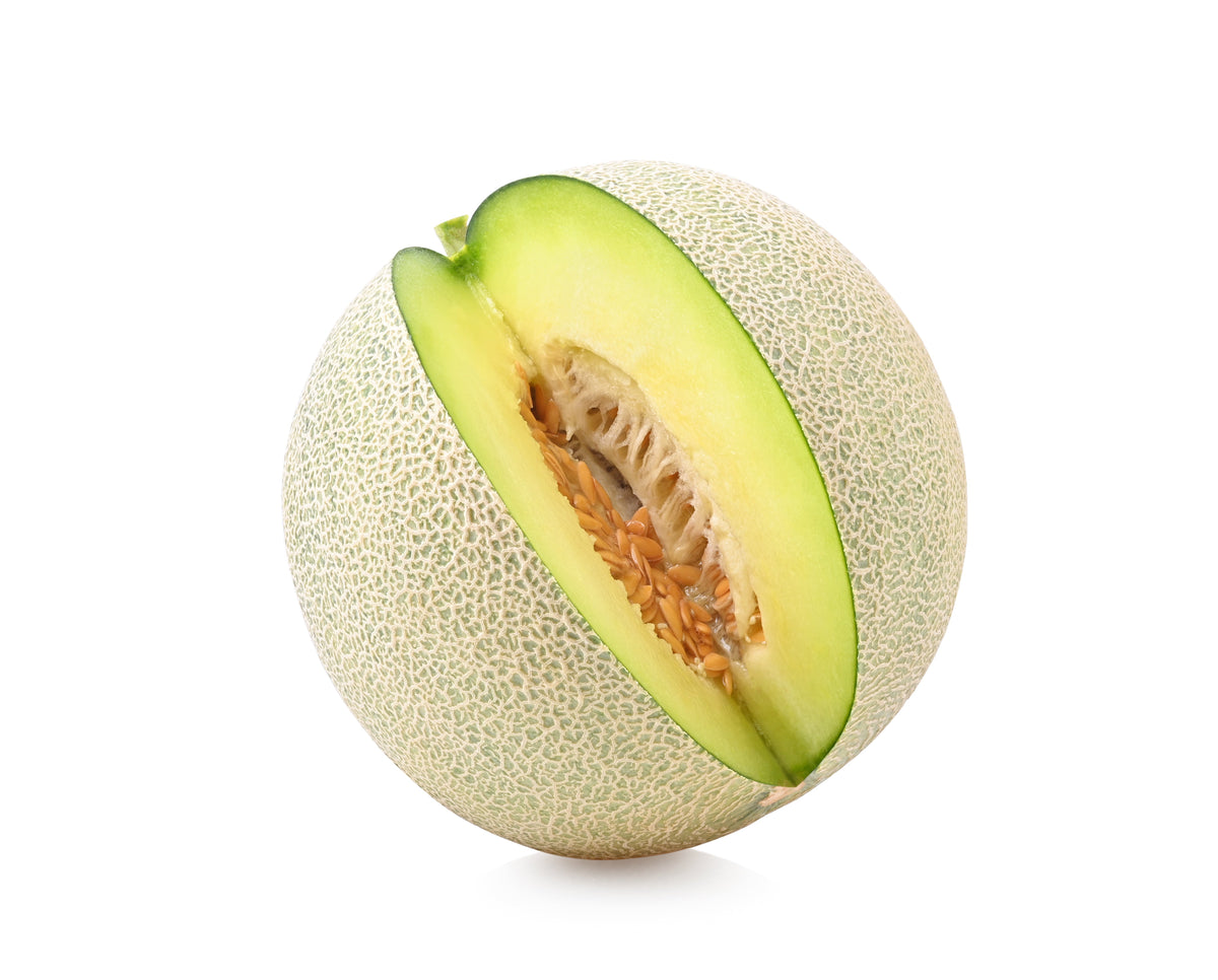 75 Green Flesh ROCKY FORD CANTALOUPE Muskmelon Cucumis Melo Melon Fruit Seeds