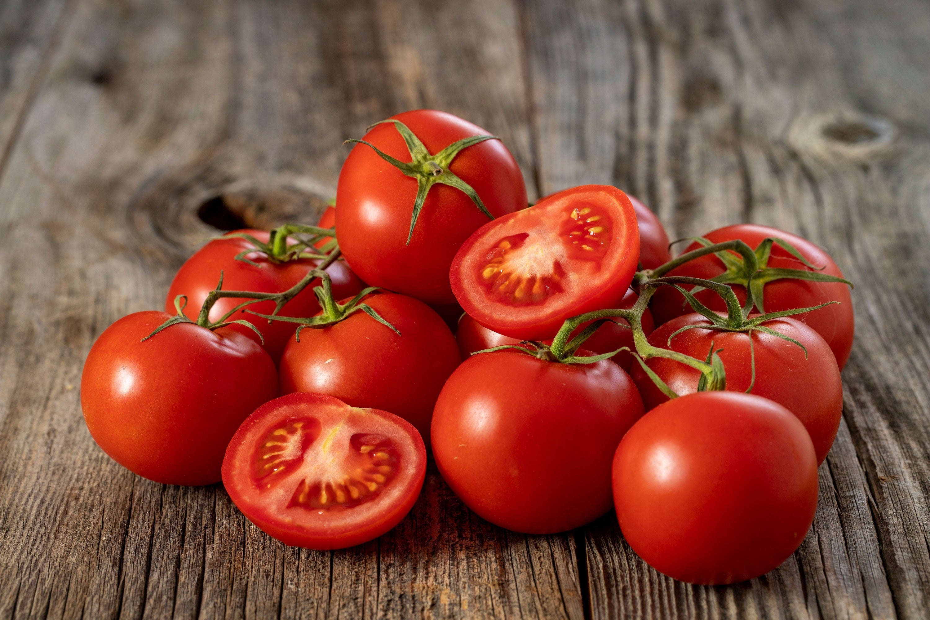 500 BULK Dwarf Cherry TOMATO TINY TIM Solanum Lycoperscium Red Fruit Seeds