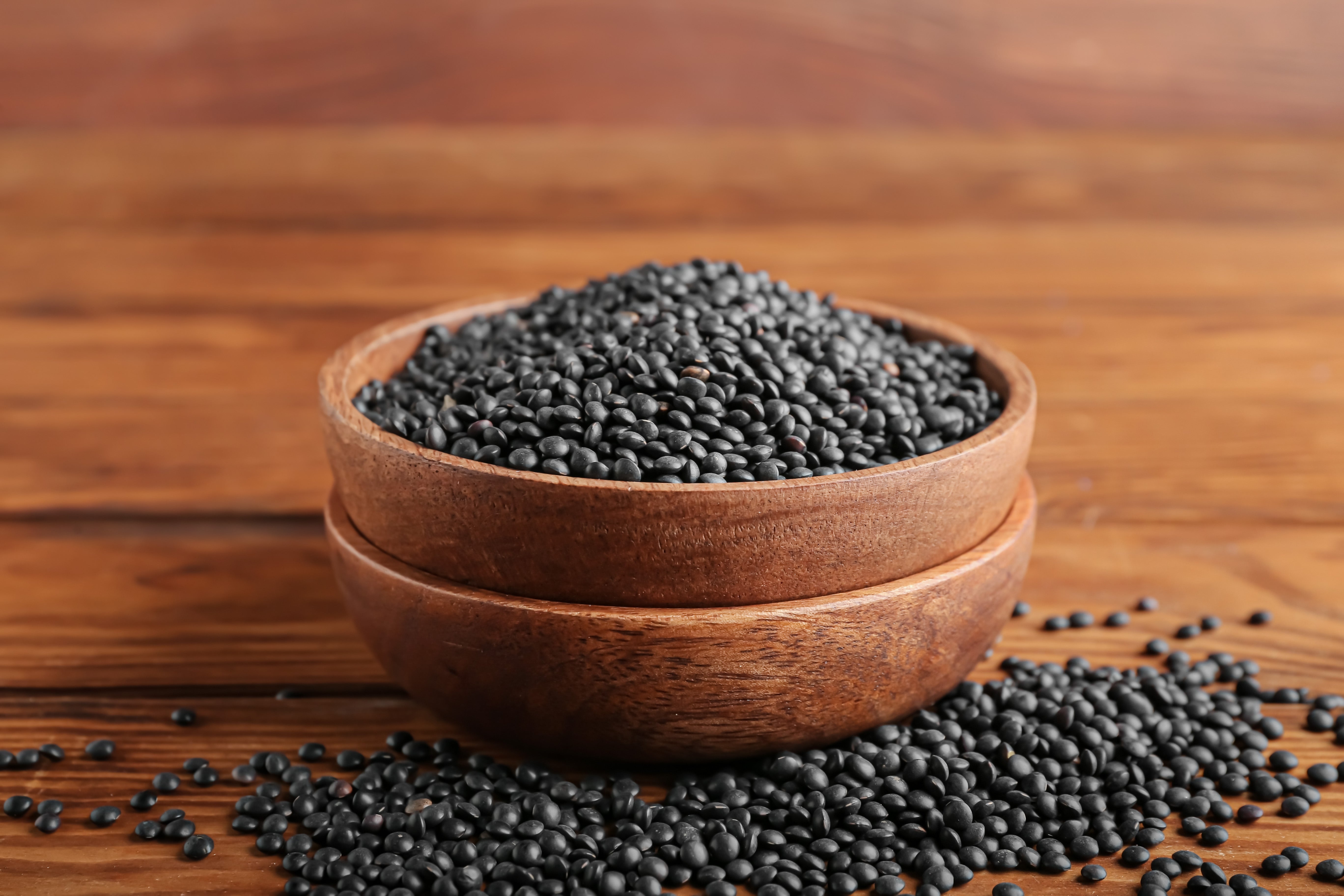 100 BLACK LENTIL Bush Lens Culinaris Vegetable Legume Sprouts Seeds