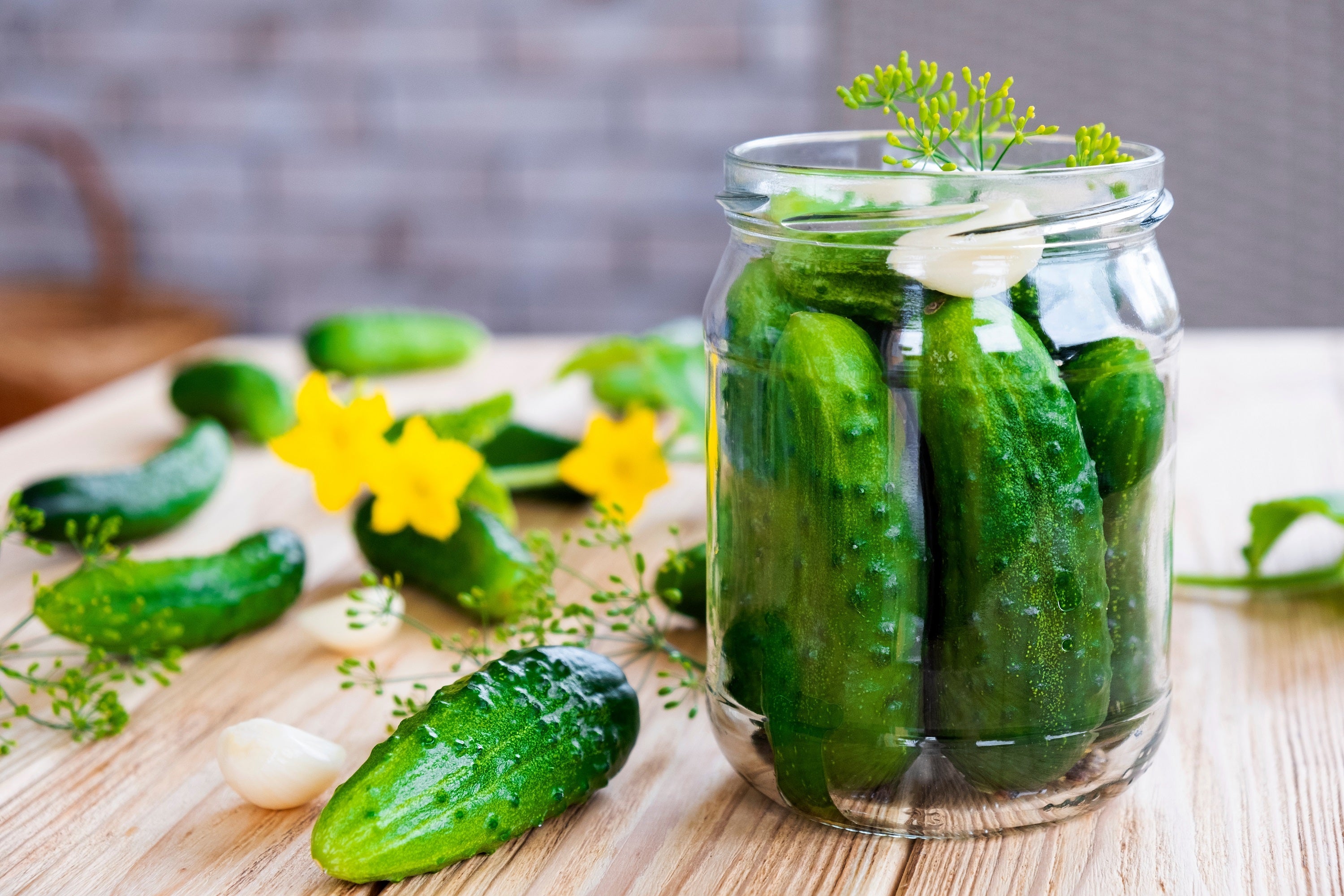 150 BOSTON PICKLING CUCUMBER Heirloom Cucumis Sativus Fruit Vegetable Seeds