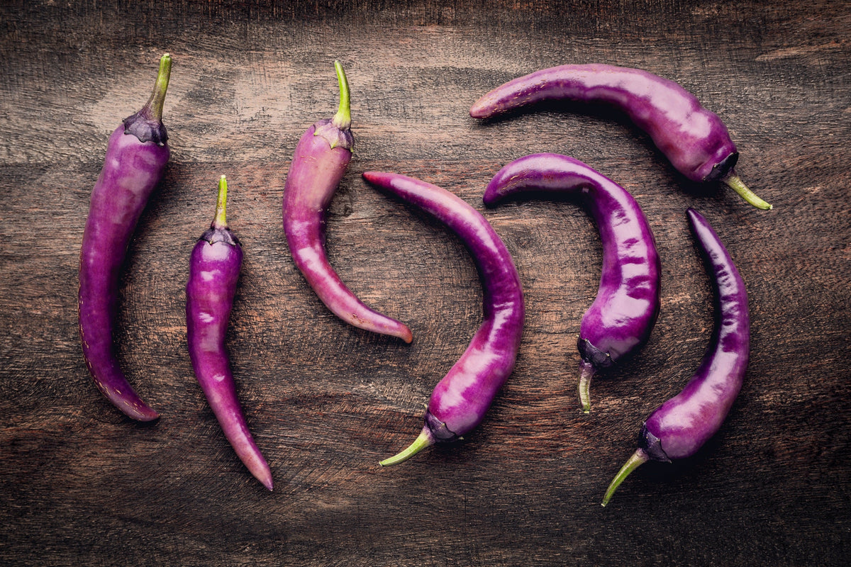 50 PURPLE CAYENNE PEPPER Hot Capsicum Annuum Vegetable Seeds