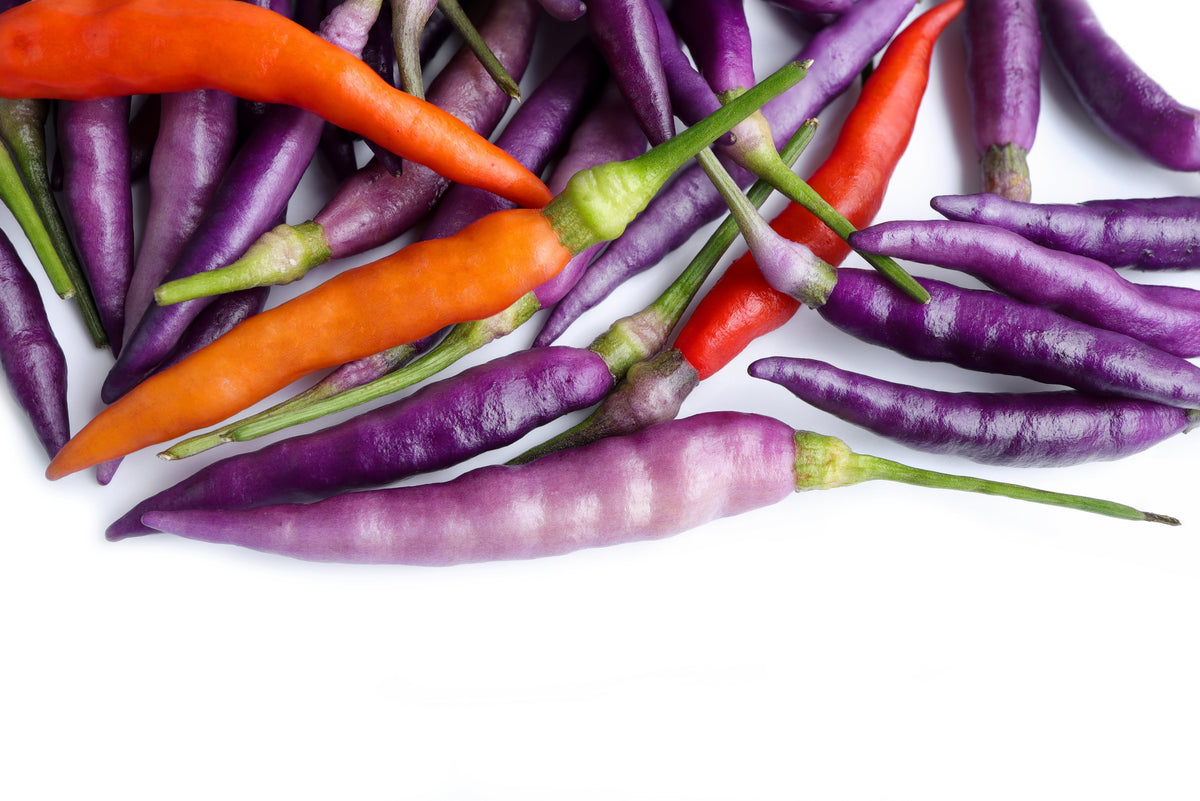 50 PURPLE CAYENNE PEPPER Hot Capsicum Annuum Vegetable Seeds