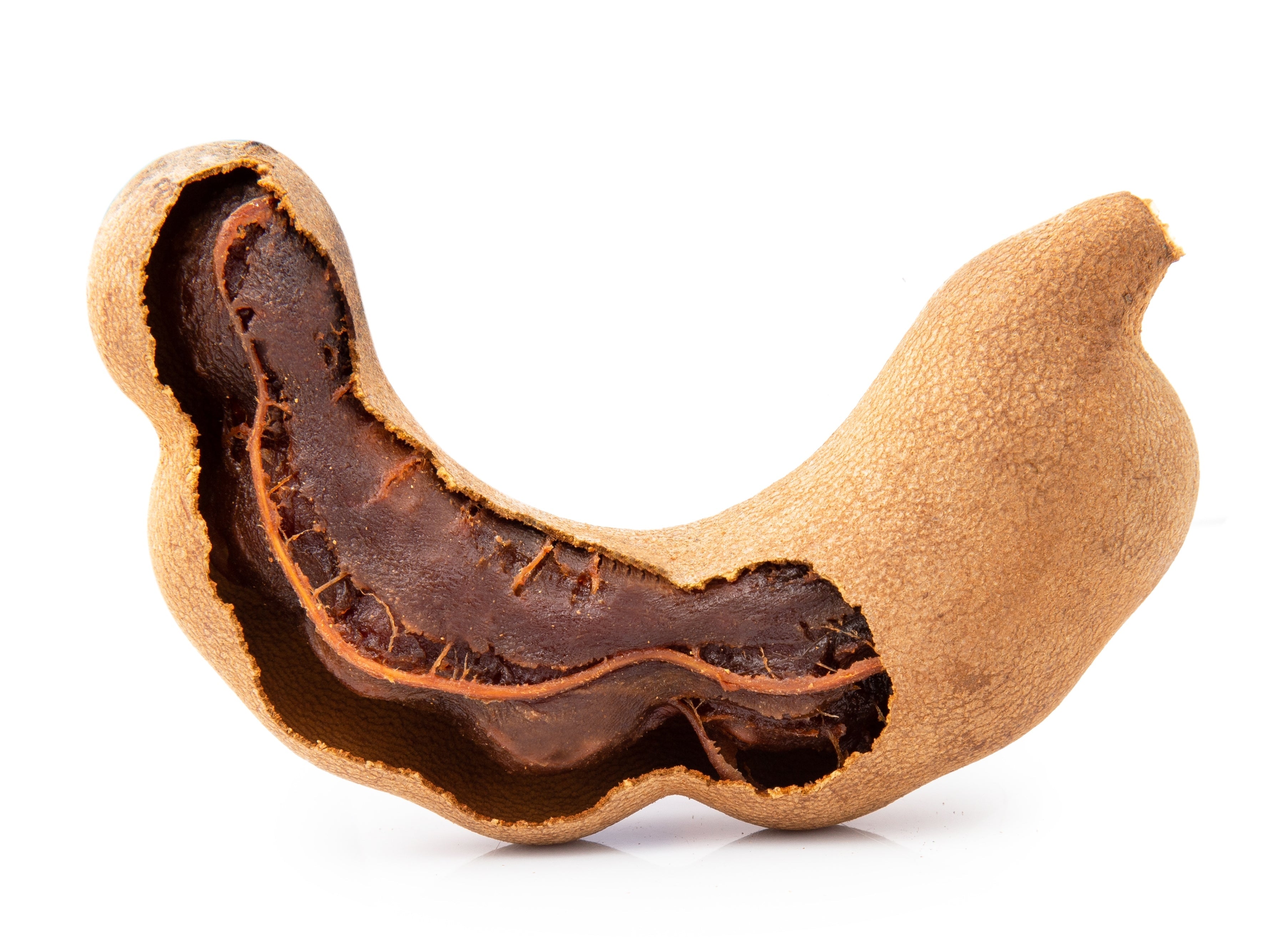 5 TAMARIND FRUIT TREE Tamarindus Indica Bean Pod Legume Seeds