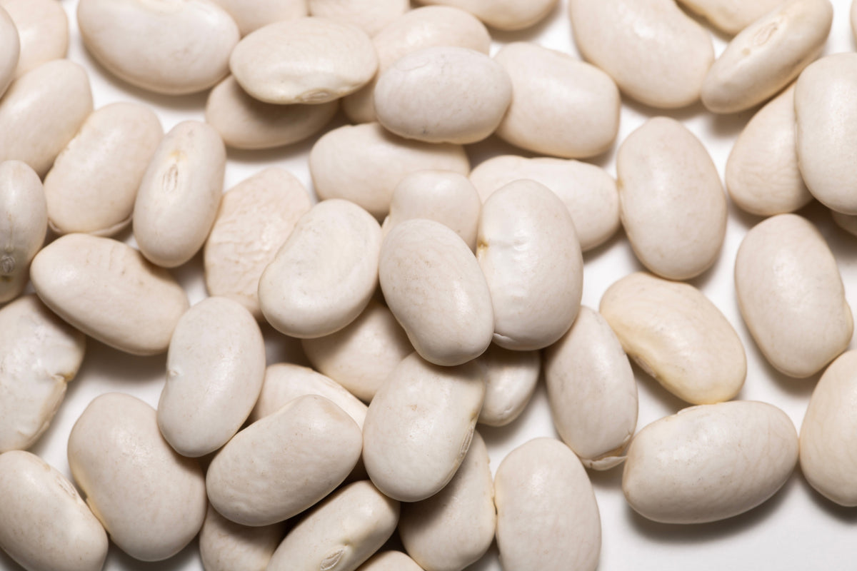 30 CANNELLINI BEAN Seeds White Italian Kidney Phaseolus Vulgaris Vegetable Seeds