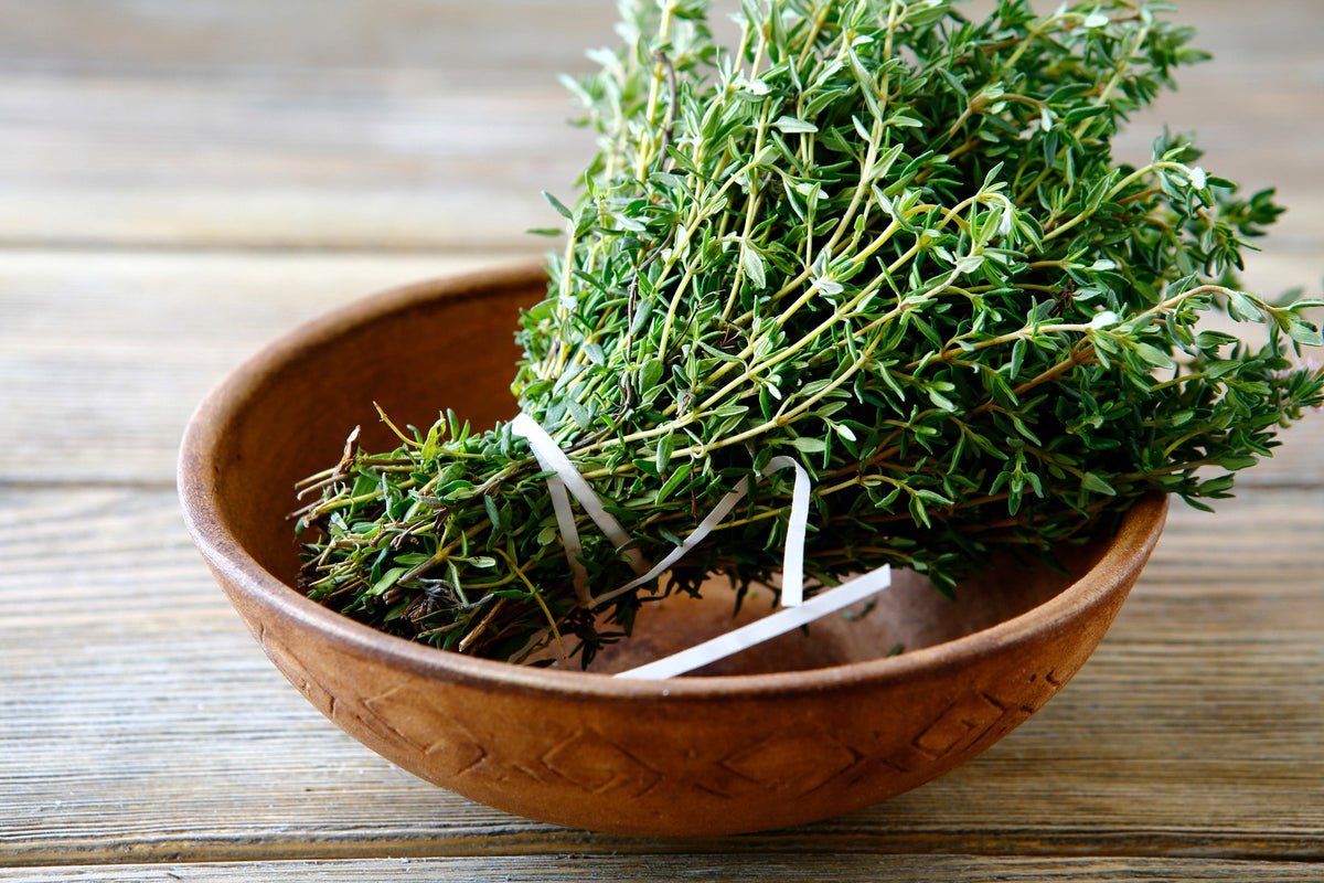 1000 Common GARDEN THYME English, German, French, or Winter Thymus Vulgaris Herb Flower Seeds