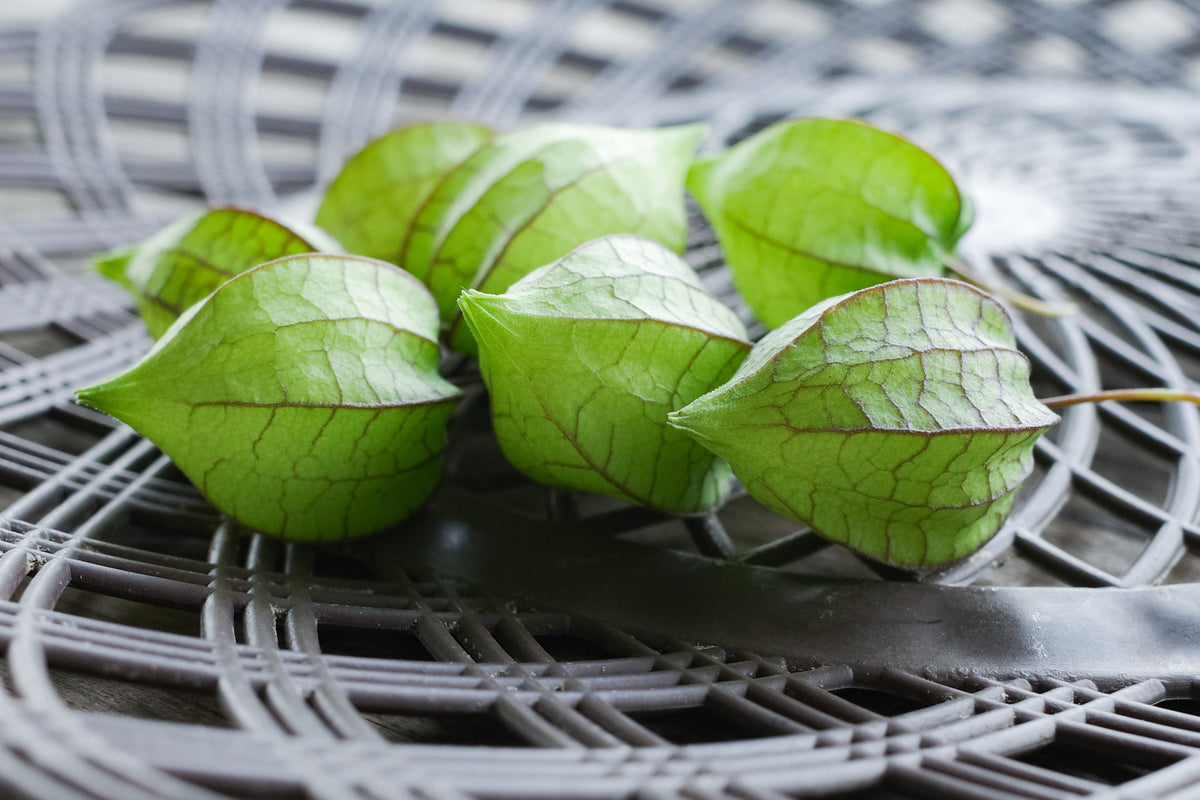 200 Organic GROUND CHERRY Physalis Pruinosa ( Golden Strawberry / Chinese Lantern ) Vegetable Seeds