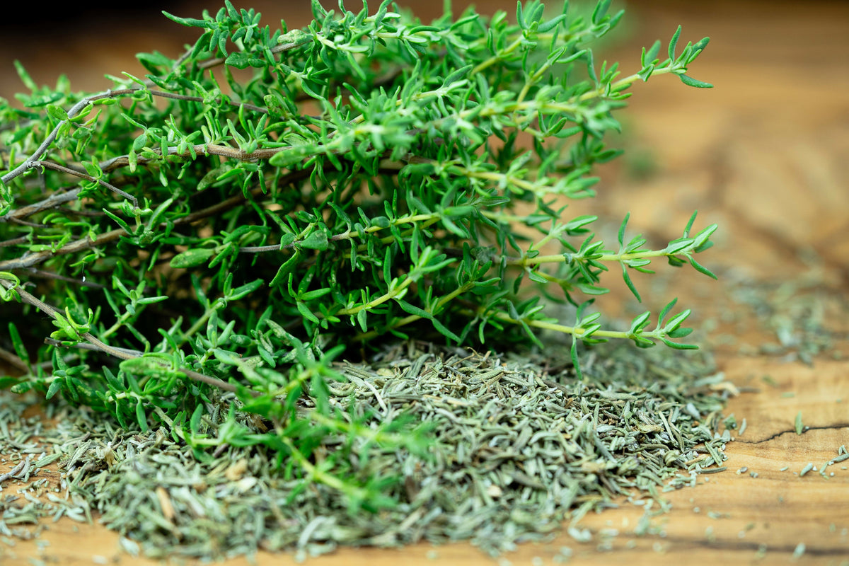 1000 Common GARDEN THYME English, German, French, or Winter Thymus Vulgaris Herb Flower Seeds