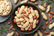 25 Seeds BAILEY II Virginia PEANUT Arachis Hypogaea Perennial Nut Plant