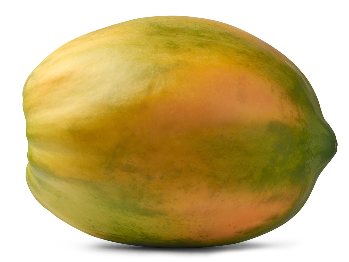 10 DWARF WAIMANALO PAPAYA Solo Hawaiian Carica Fruit Tree Houseplant Seeds