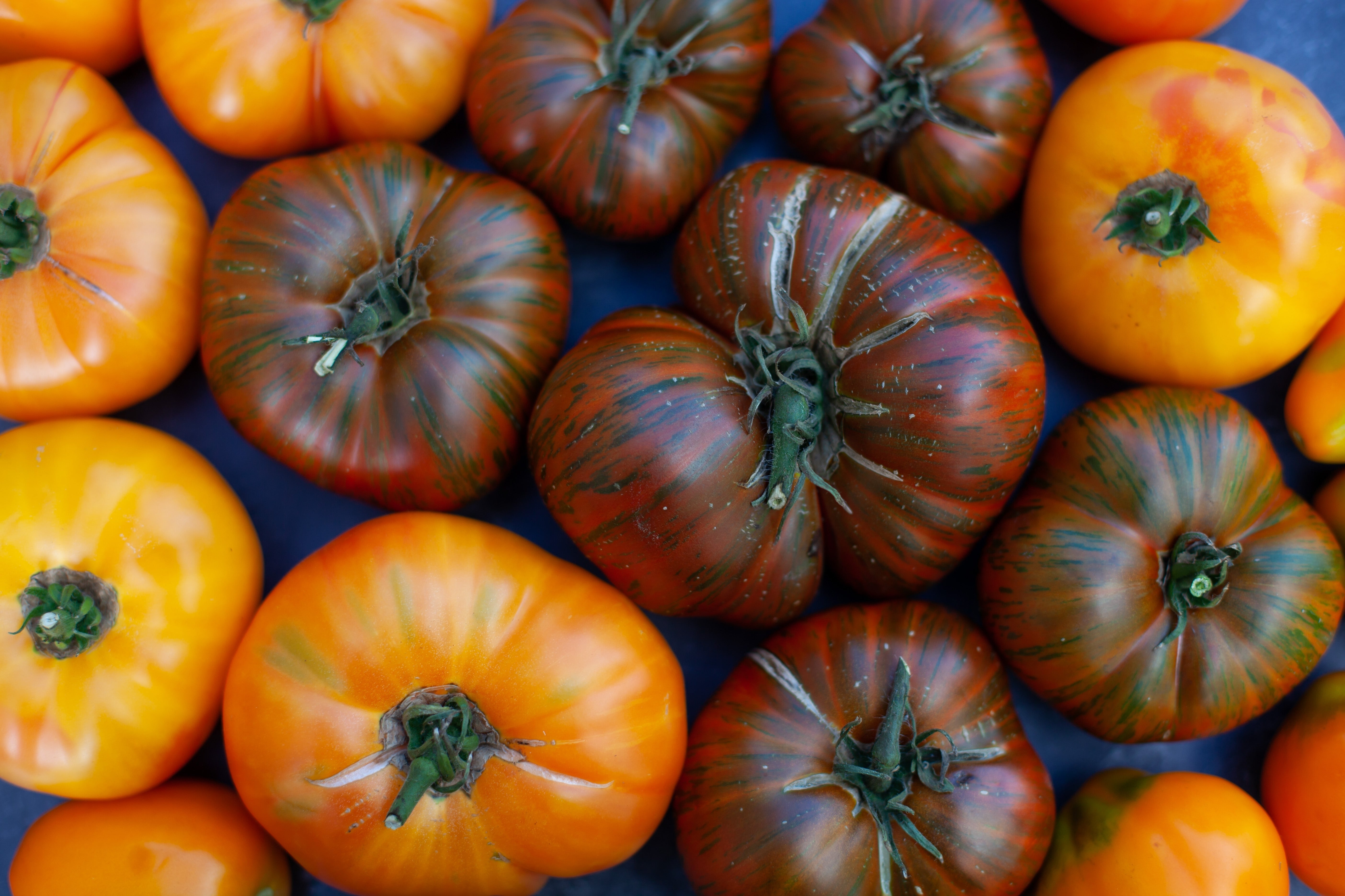 50 CHOCOLATE STRIPES TOMATO Brown with Green Lycopersicon Fruit Vegetable Seeds