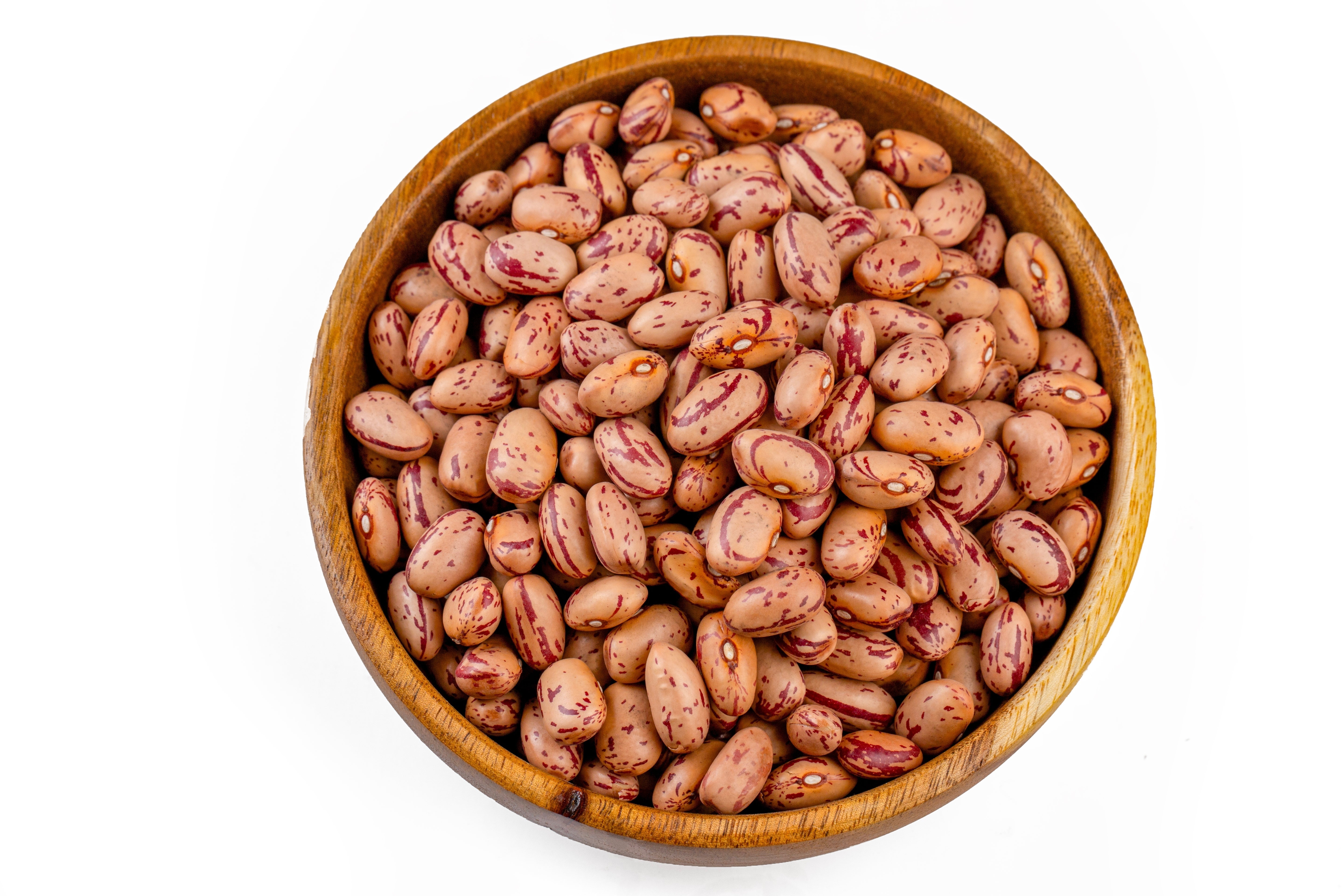 50 CRANBERRY BEAN French Horticulture Borlotti Roman Phaseolus Vegetable Seeds