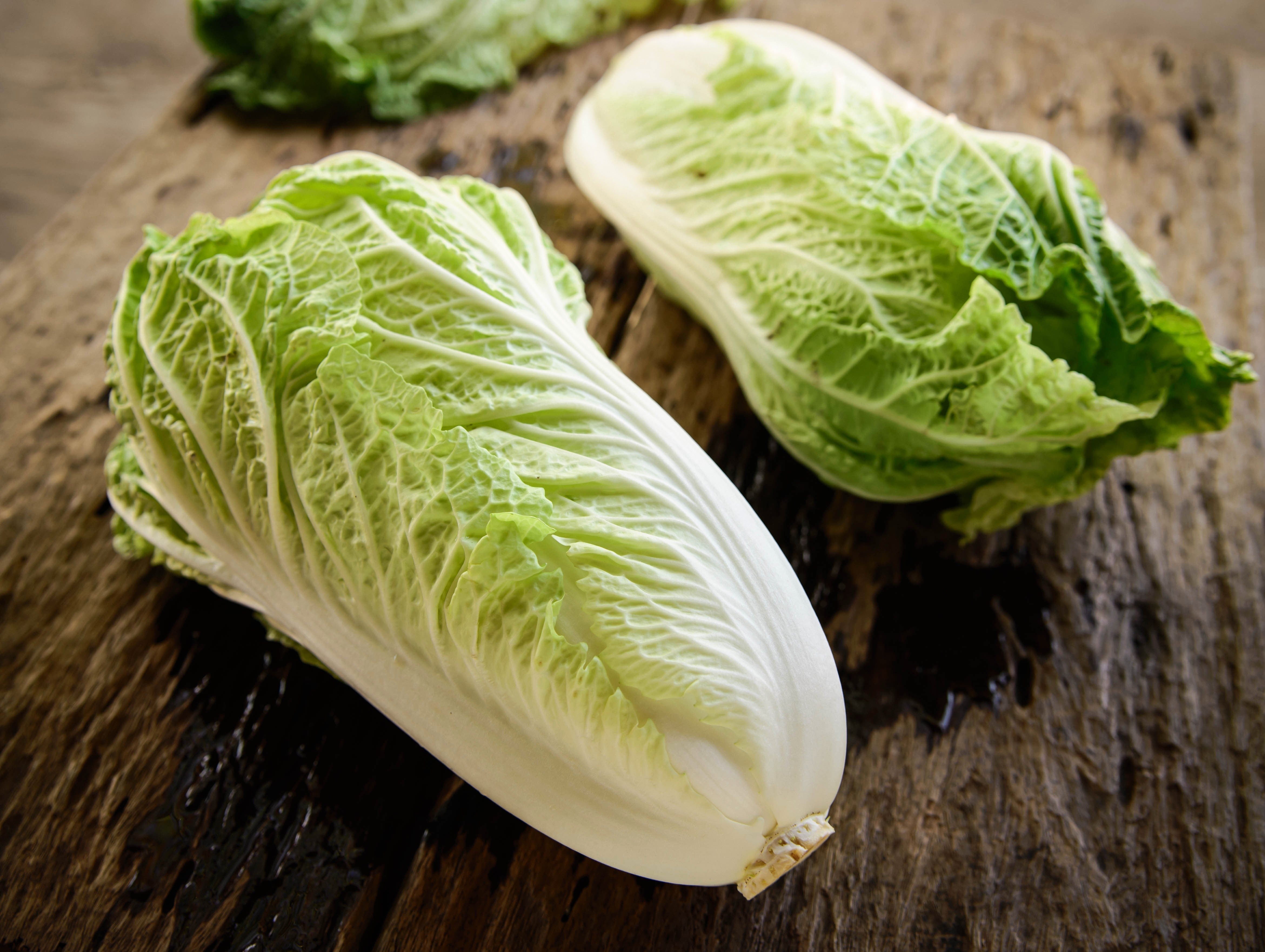 500 MICHIHILI CABBAGE (Chinese Cabbage / Bok Choy / Pak Choi / Celery Mustard / Chinese Chard) Brassica Rapa Chinensis Vegetable Seeds