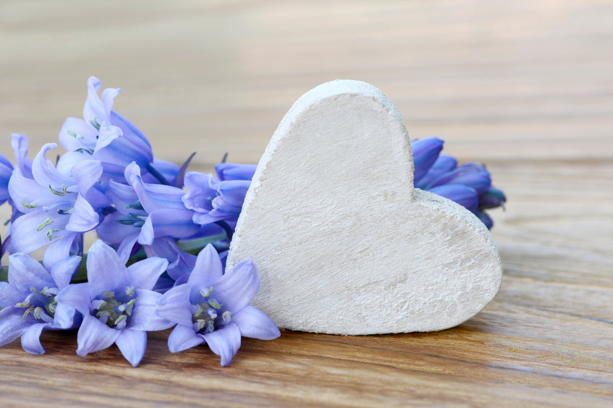 10 WOOD HYACINTH Mixed Colors English Woodland Spanish Bluebell Scilla Campanulata Hyacinthoides Hispanica Pink Purple White Flower Seeds