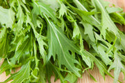 1000 GREEN MIZUNA MUSTARD Japanese Greens Brassica Juncea Herb Vegetable Seeds