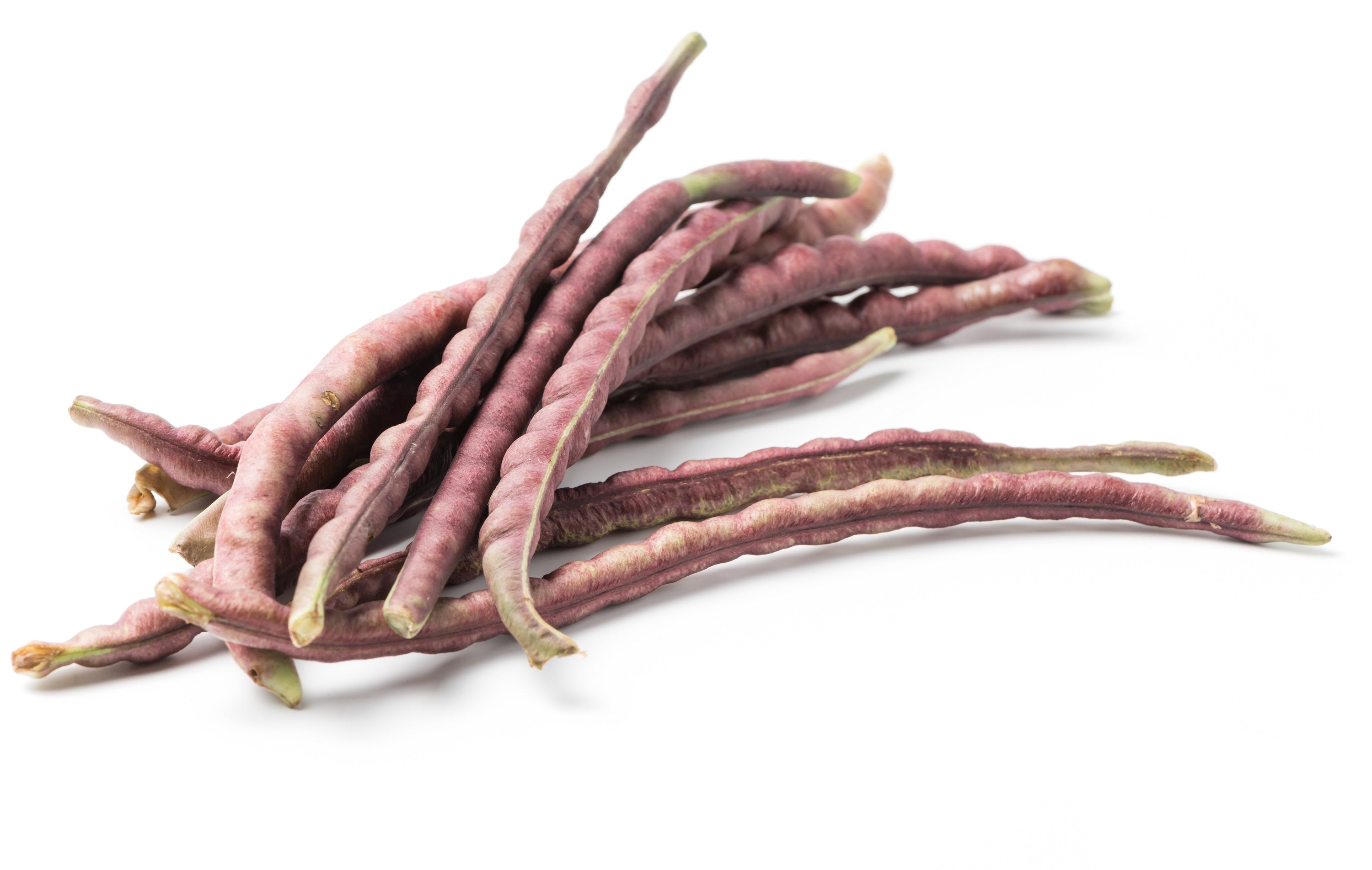 50 PURPLE PINKEYE COWPEA Southern Cow Pea Crowder Vigna Unguiculata Vegetable Legume Seeds