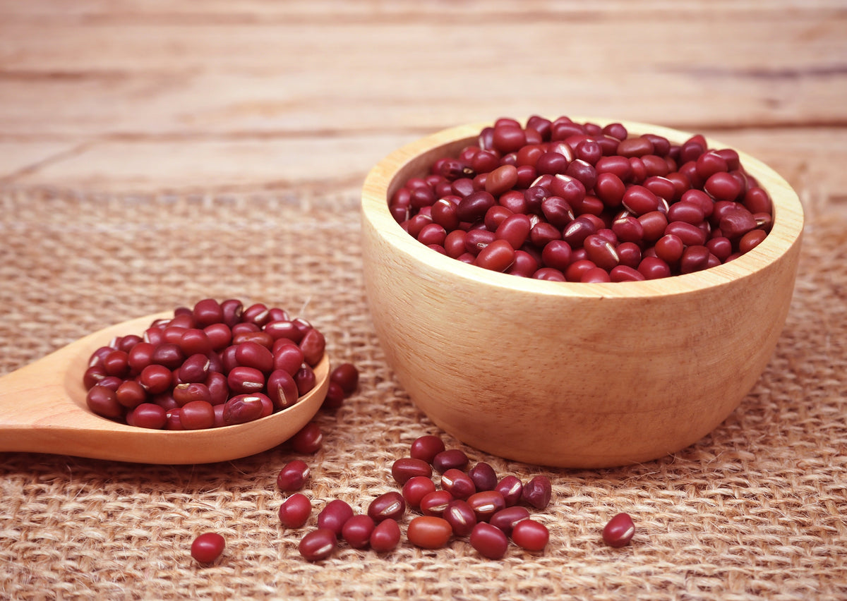 50 ADZUKI BEAN Aduki Red Bean Maroon Phaseolus Angularis Legume Vegetable Seeds